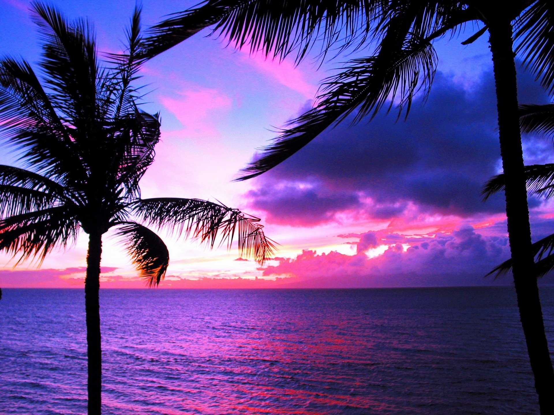 Hawaii, Palme, Tramonto viola, Silhouette, Full HD, sfondo per iPad e tablet