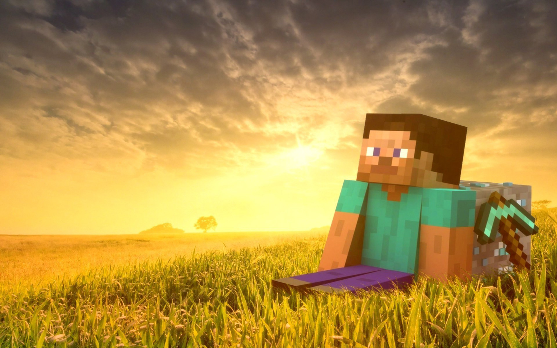 Steve, Minecraft, Tramonto, Campo di grano, Piccone, 1920x1200, sfondo MacBook Pro