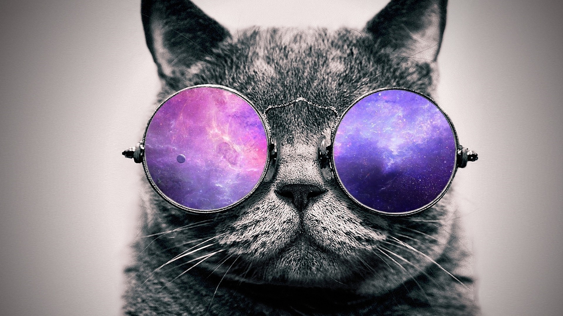Gatto grigio, Occhiali da sole, Galassia, Viola, Divertente, Full HD, wallpaper desktop