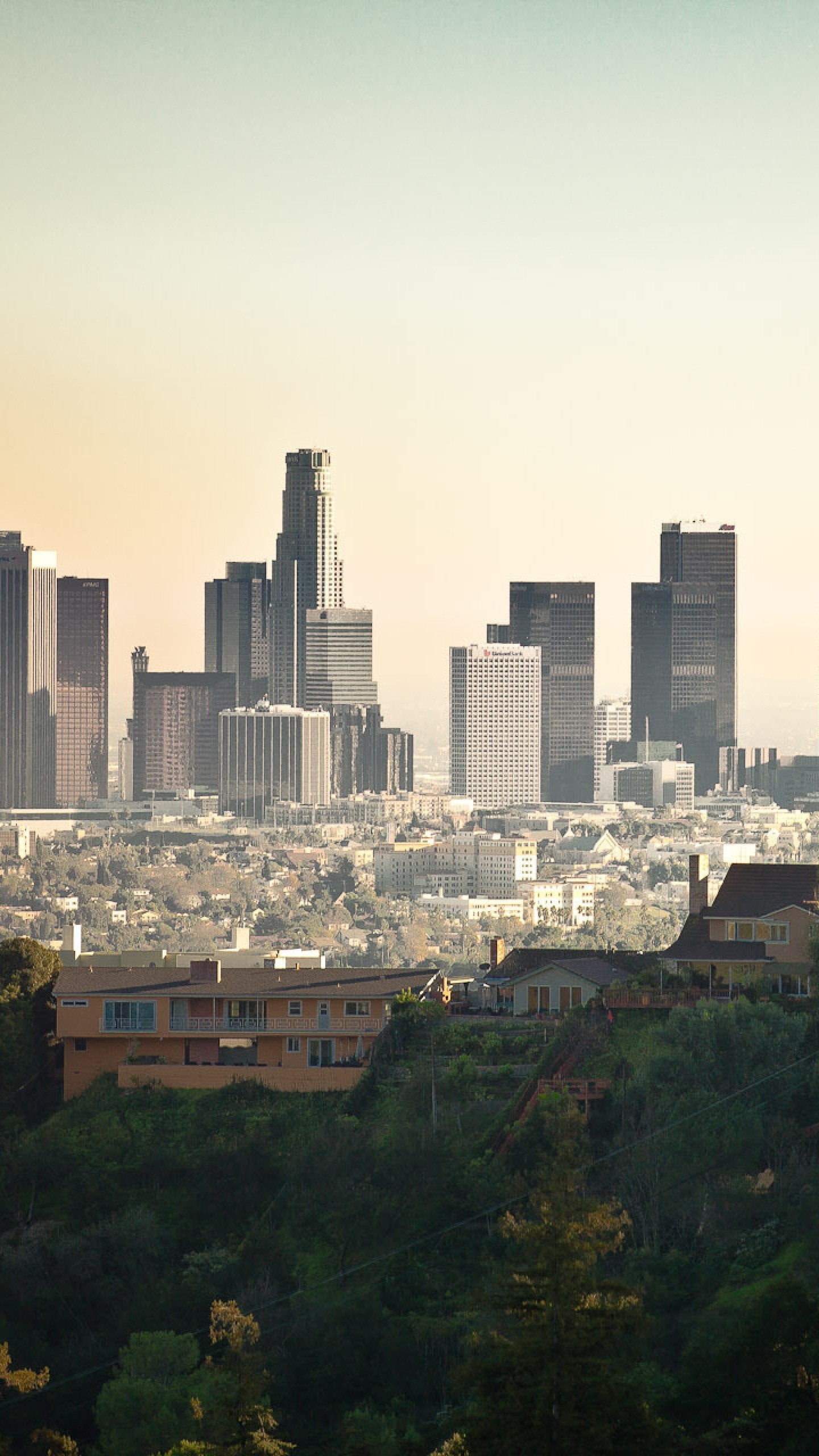 Downtown Los Angeles, Skyline, Alberi, QHD+, sfondo per smartphone
