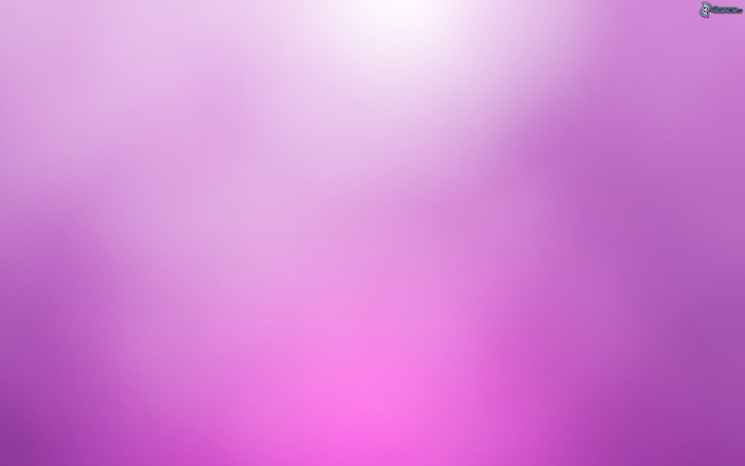 Sfumatura, Rosa, Viola chiaro, Sfocato, 2K 1600p, sfondo desktop