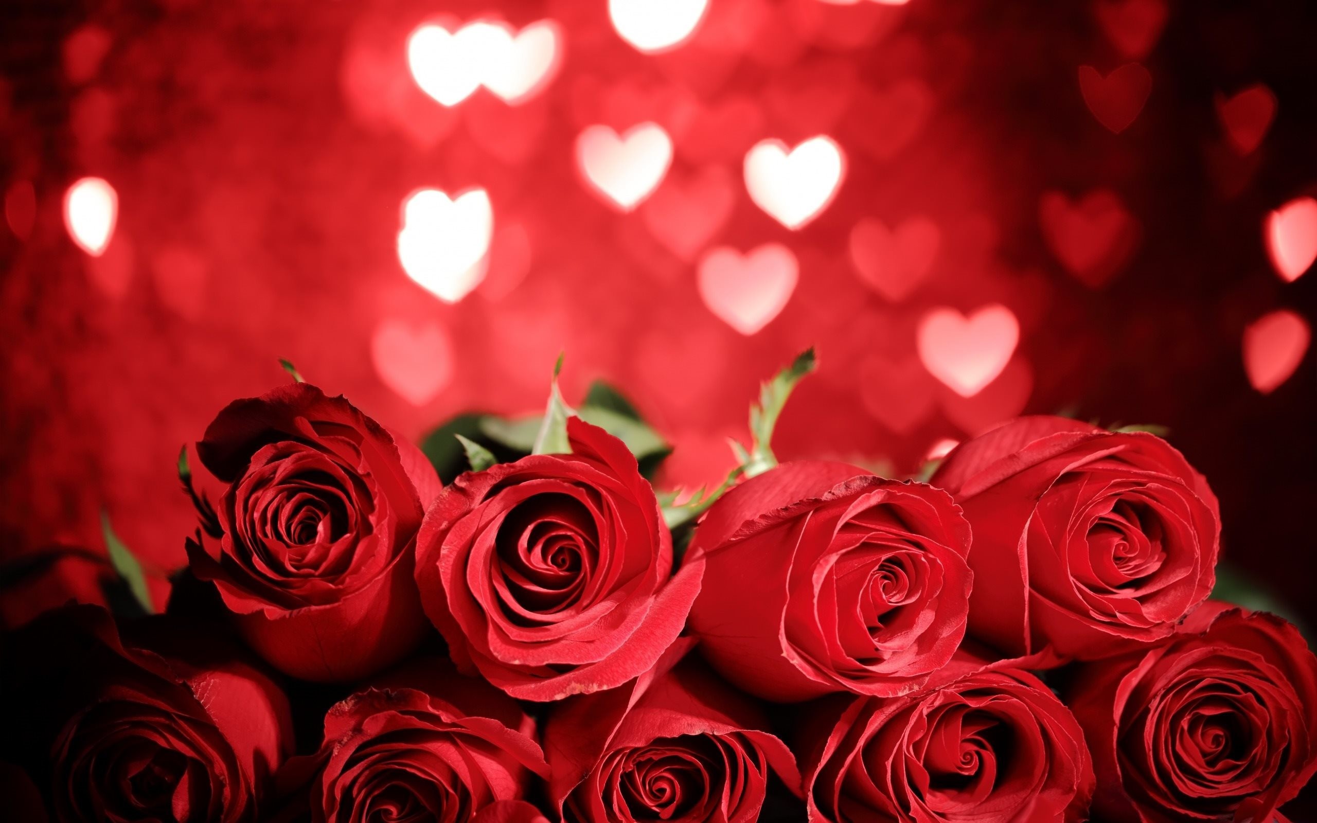 Rose rosse, Cuori, Bokeh, San Valentino, Romantico, 2K, sfondo per portatile