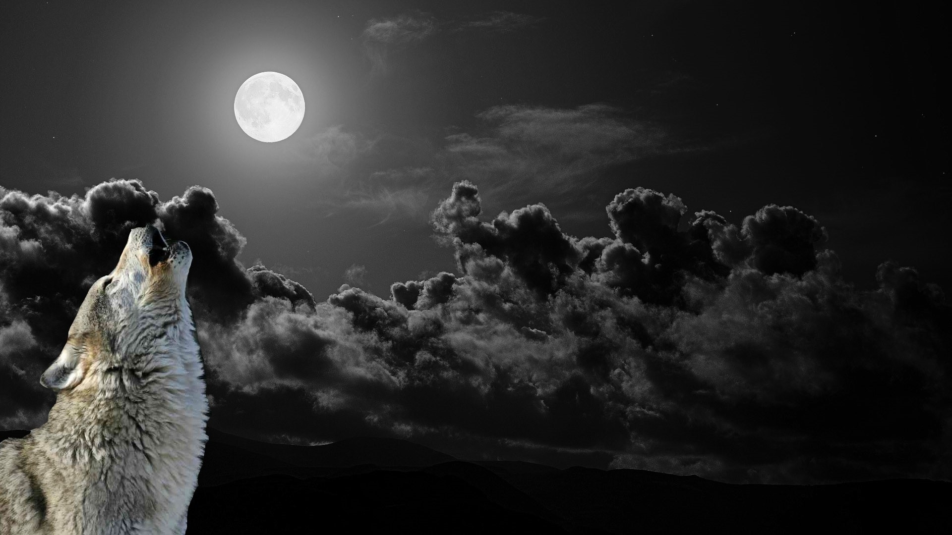 Lupo che ulula, Luna piena, Nuvole, Bianco e nero, Full HD, sfondo desktop