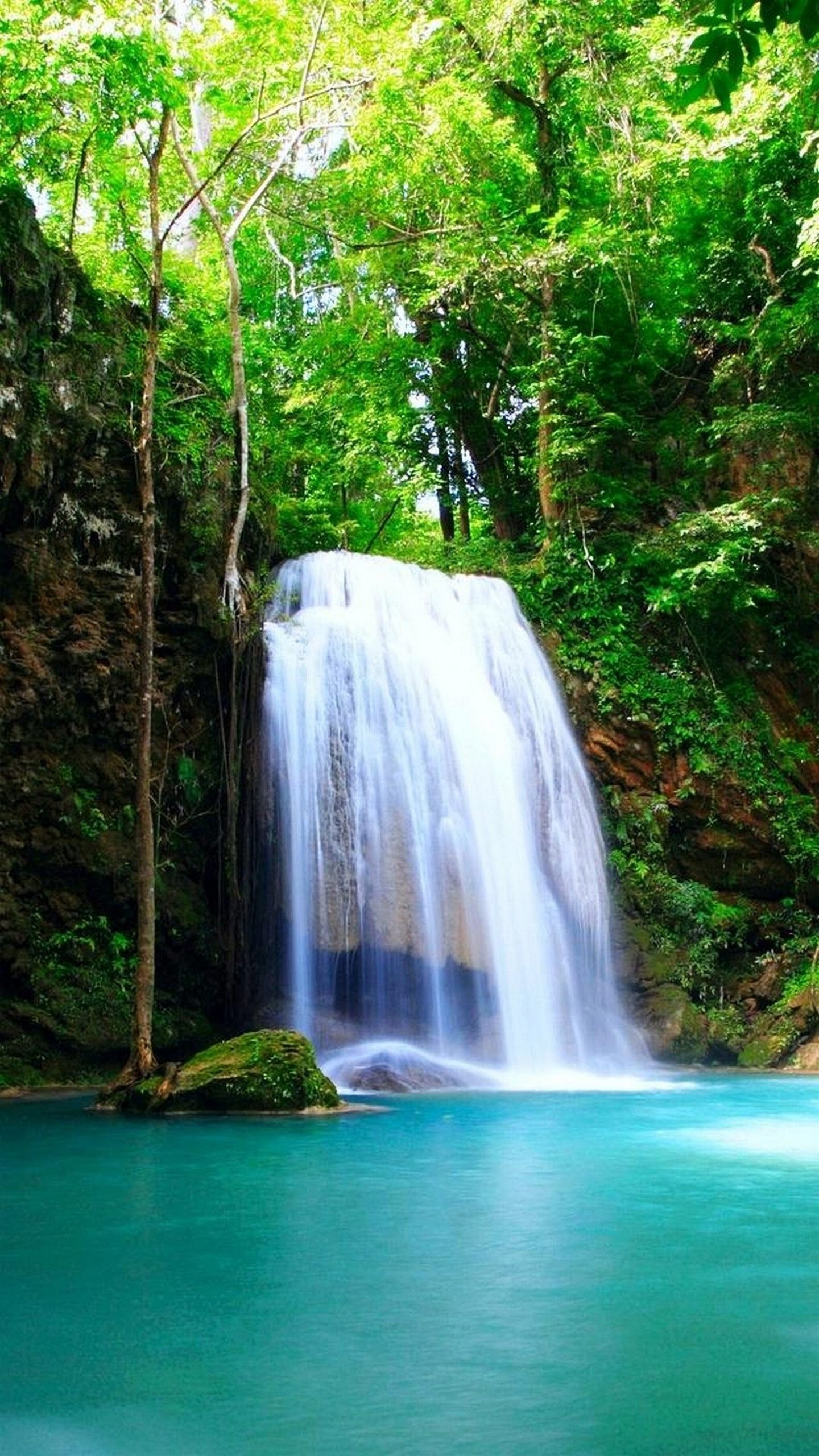 Cascata, Foresta tropicale, Acqua turchese, QHD+, wallpaper per smartphone