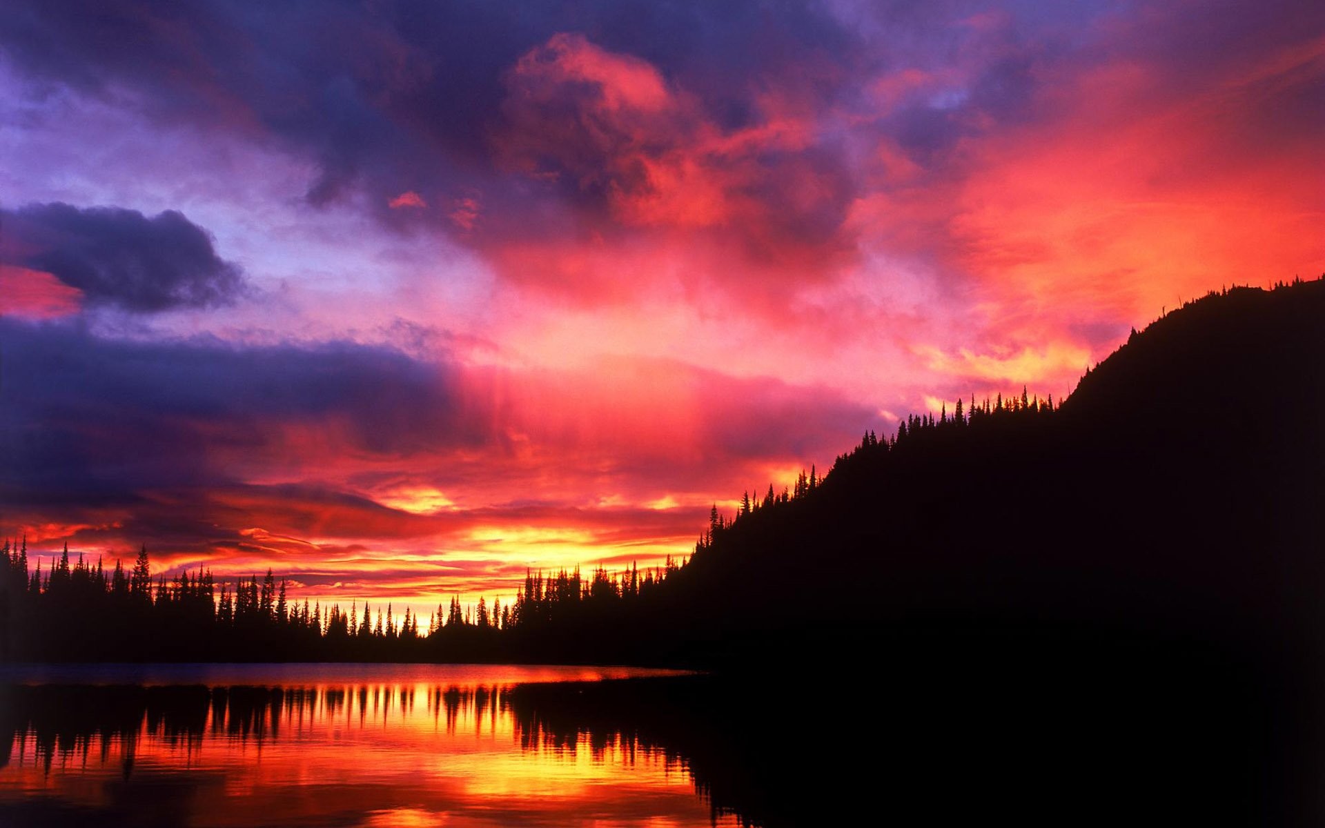 Tramonto, Lago, Cielo rosso, Foresta, Silhouette, sfondo per il tuo desktop