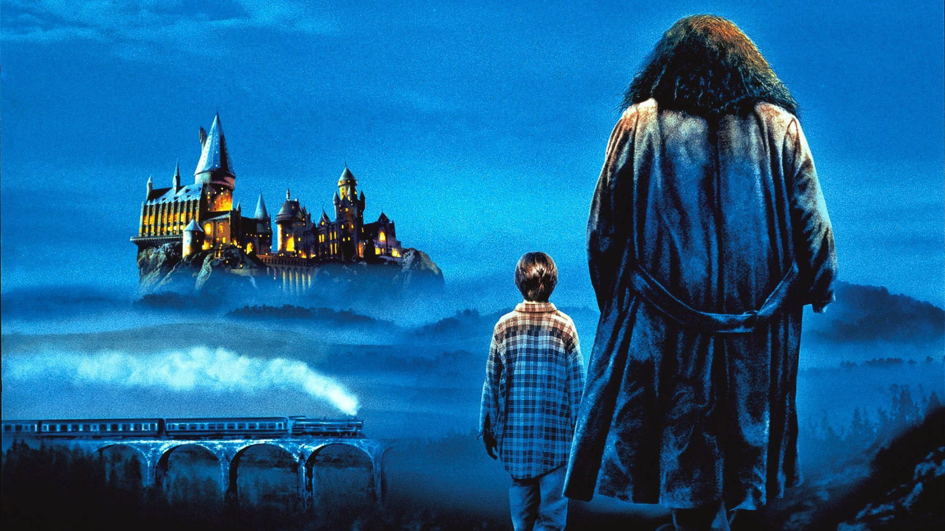 Hogwarts, Rubeus Hagrid, Harry Potter, Hogwarts Express, Notte, Full HD, wallpaper desktop