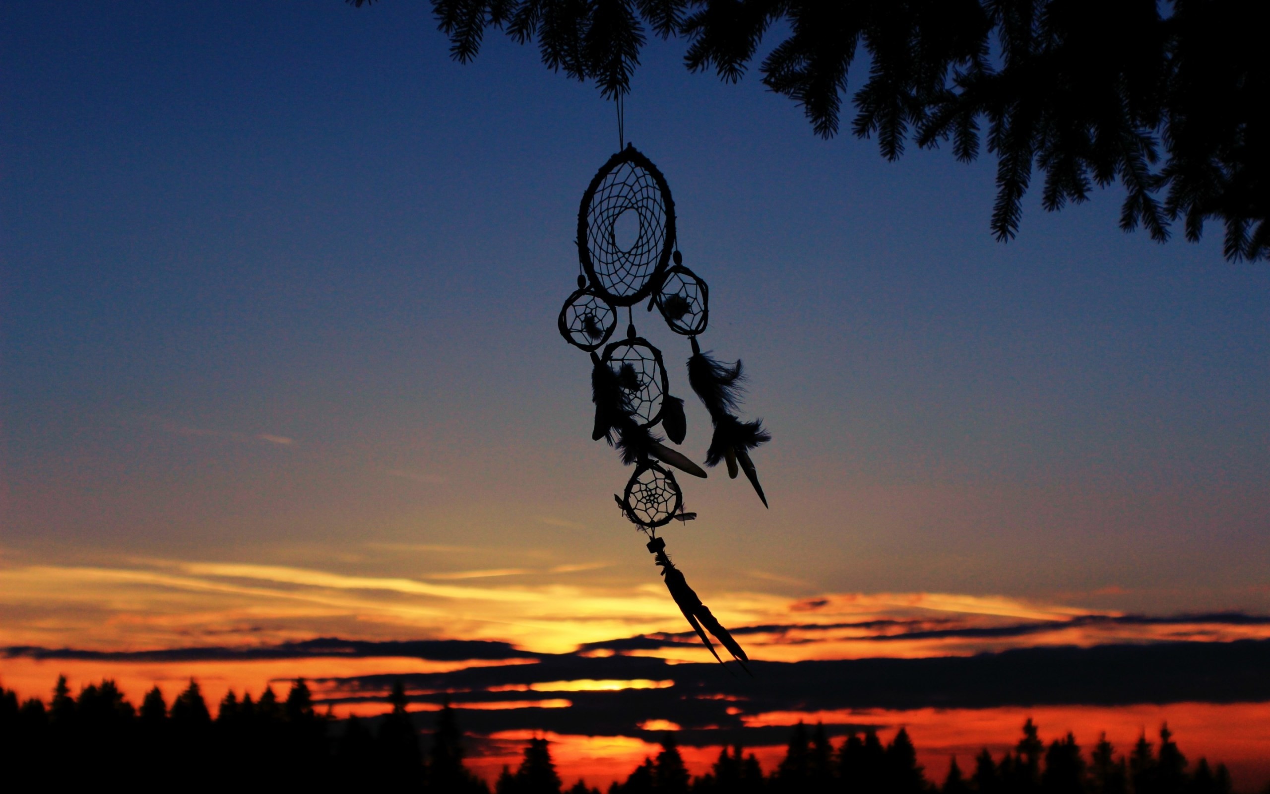 Acchiappasogni, Silhouette, Tramonto, Pini, 2K, wallpaper per PC