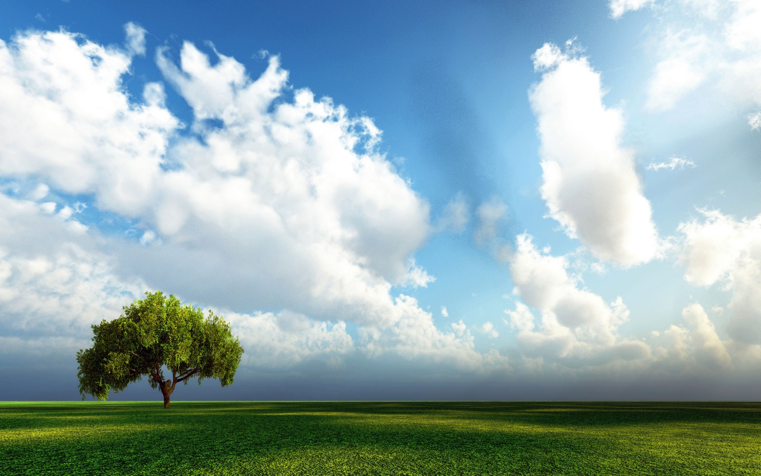 Albero solitario, Prato, Nuvole, Cielo azzurro, 2K 1600p, sfondo desktop