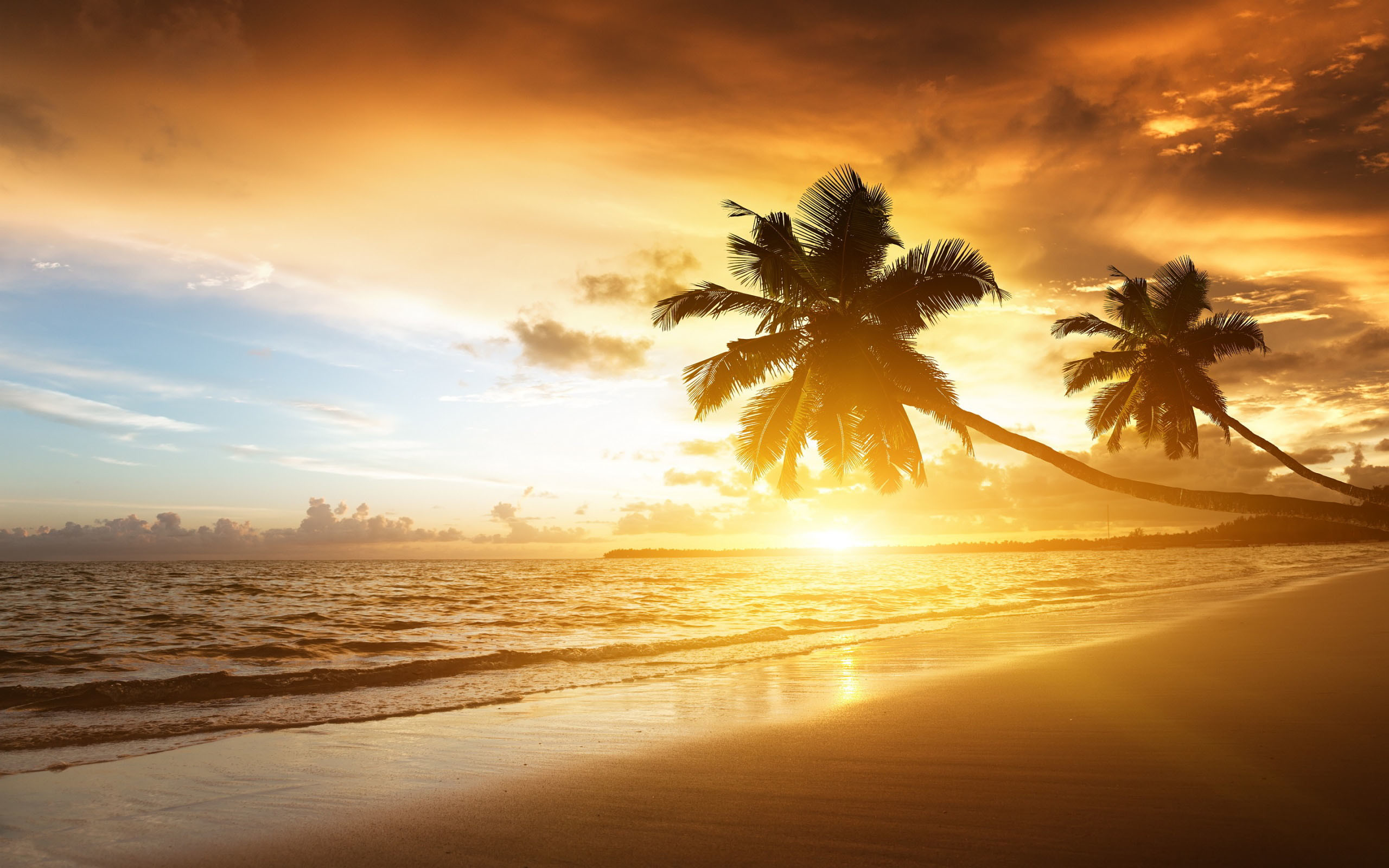 Palme, Spiaggia tropicale, Tramonto, Mare, Arancione, 2K, wallpaper per portatile