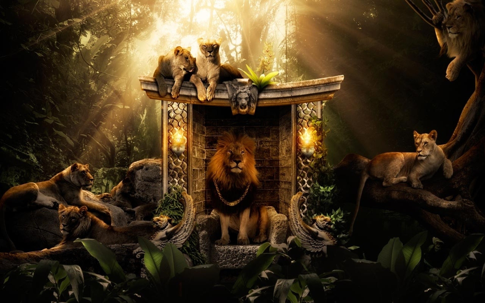 Leoni, Trono, Giungla, Raggi di luce, Arte fantasy, 1920x1200, immagine di sfondo