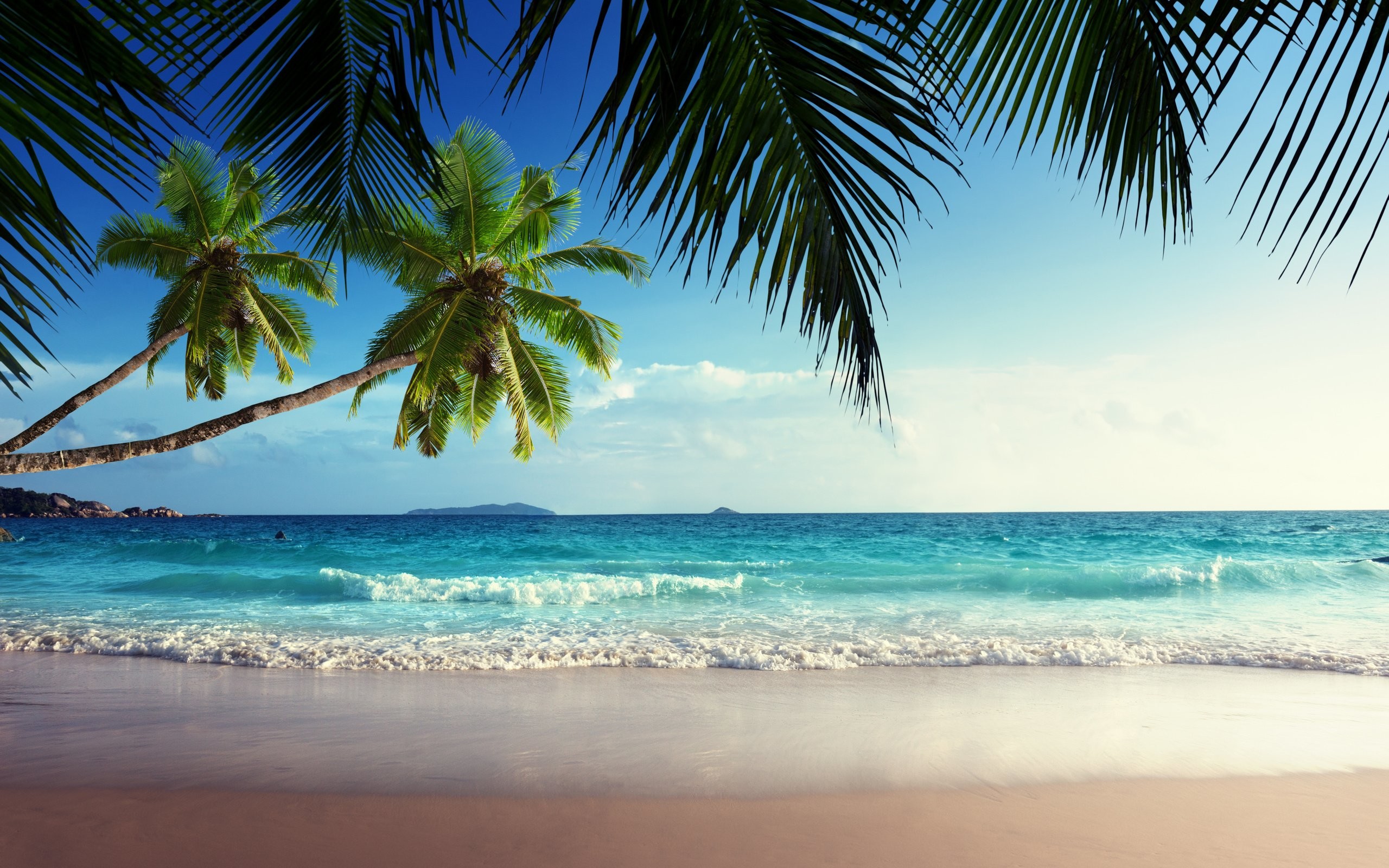 Palme, Onde, Spiaggia, Sole, 2K, wallpaper desktop