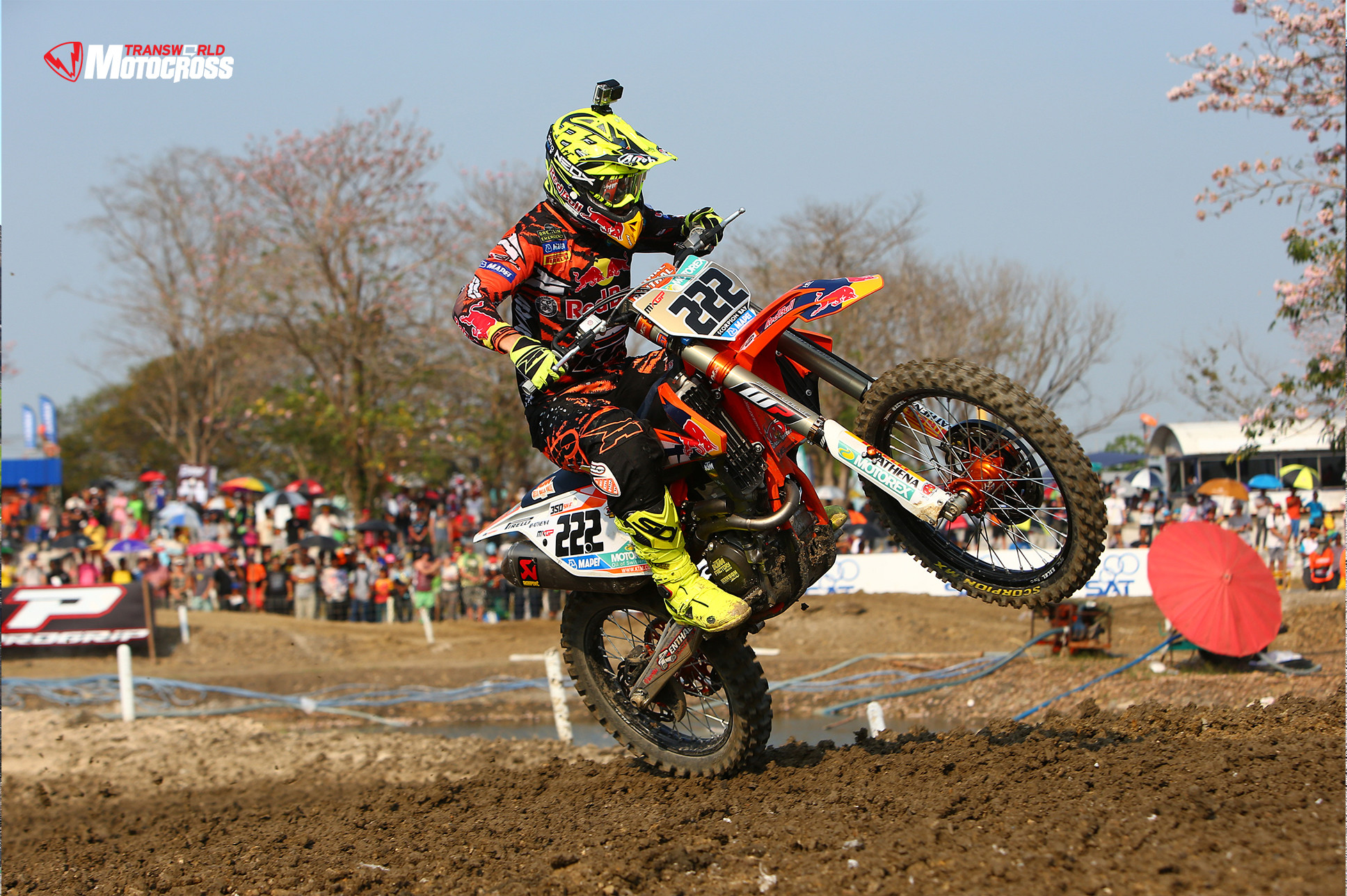 KTM, Motocross, Impennata, Pubblico, Full HD, sfondo Windows 11