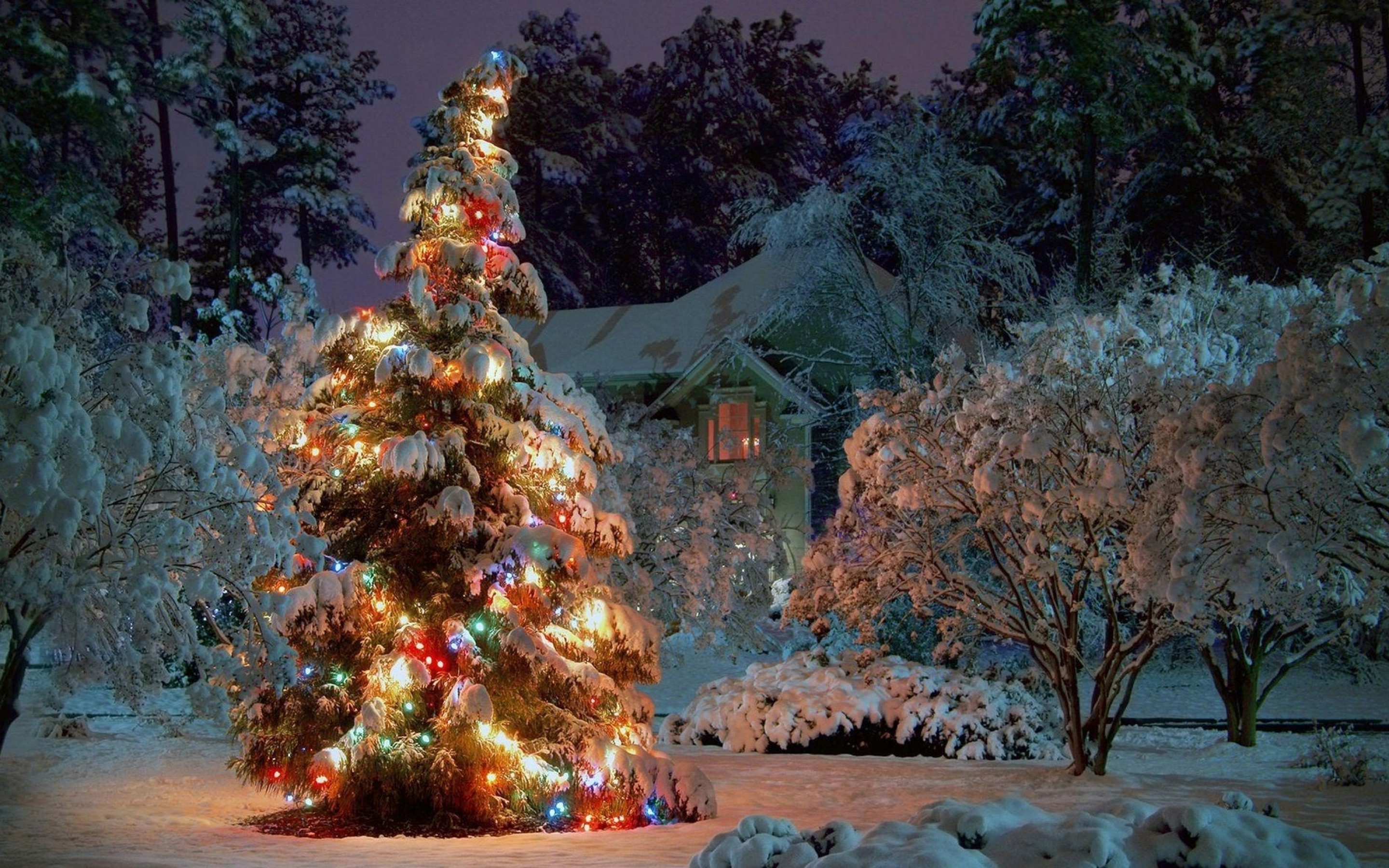Natale, Albero di Natale, Neve, Notte, Luci colorate, 2880x1800, sfondo MacBook Pro