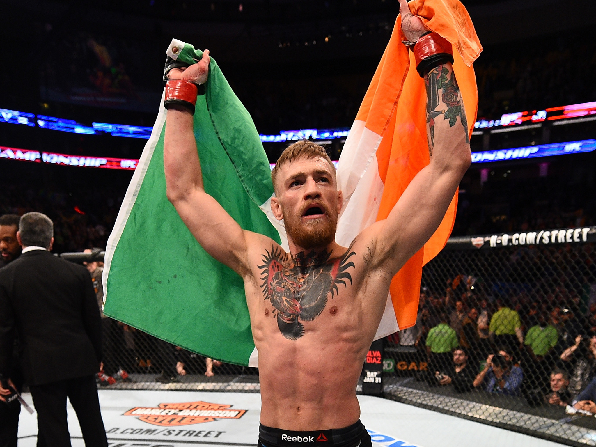Conor McGregor, Bandiera irlandese, Vittoria, Ottagono, Full HD, sfondo per iPad e tablet
