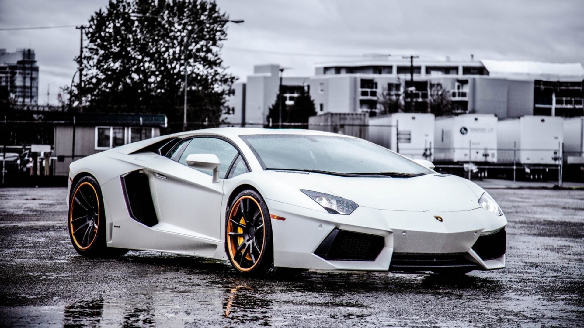 Lamborghini Aventador, Bianco, Cerchi dorati, Asfalto bagnato, Nuvole, sfondo Windows 11
