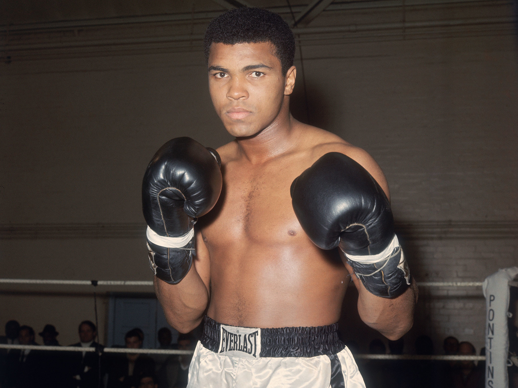 Muhammad Ali, Guantoni da boxe, Ring, Ritratto, Full HD, schermata di blocco iPad