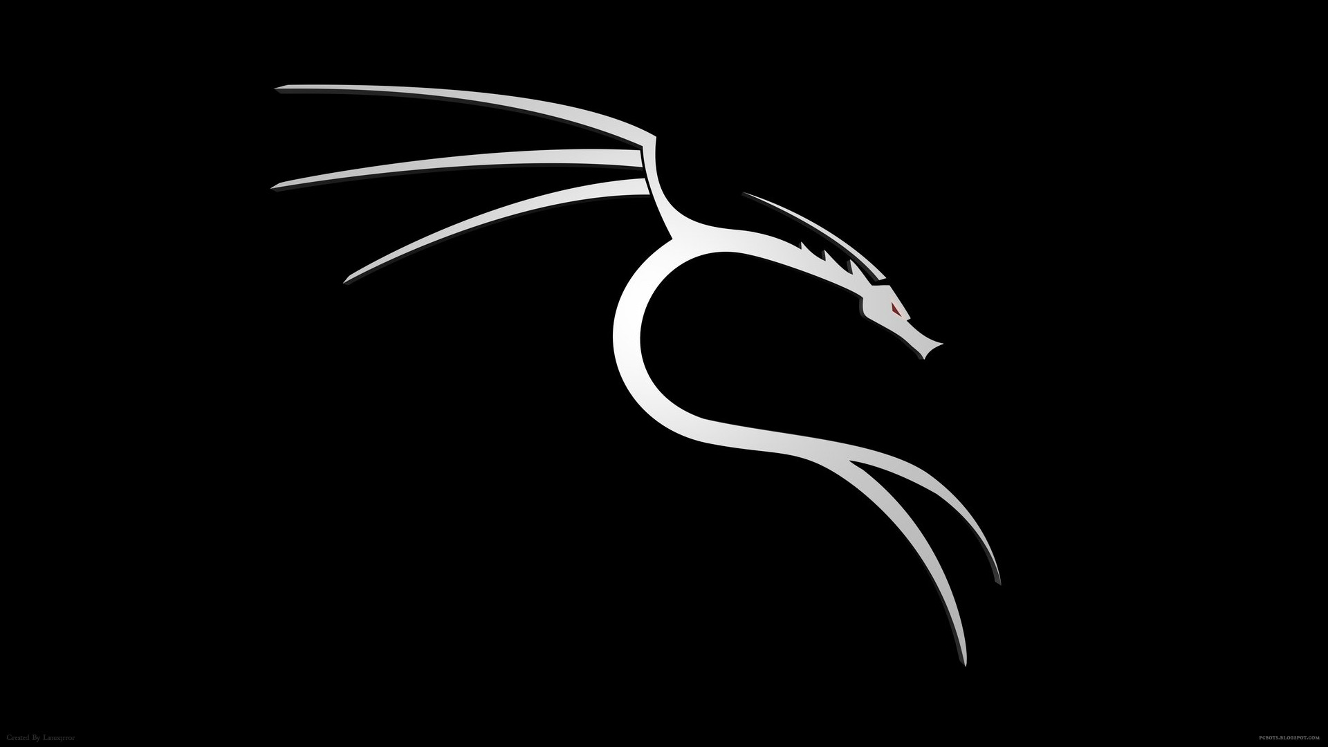 Kali Linux, Drago, Logo, Sfondo nero, Full HD, wallpaper per portatile