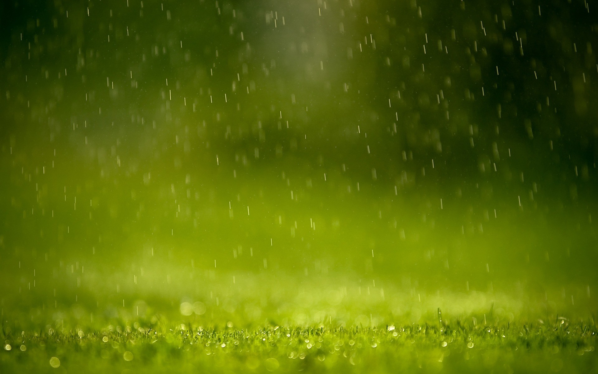 Pioggia, Prato, Verde, Full HD, sfondo Windows 11