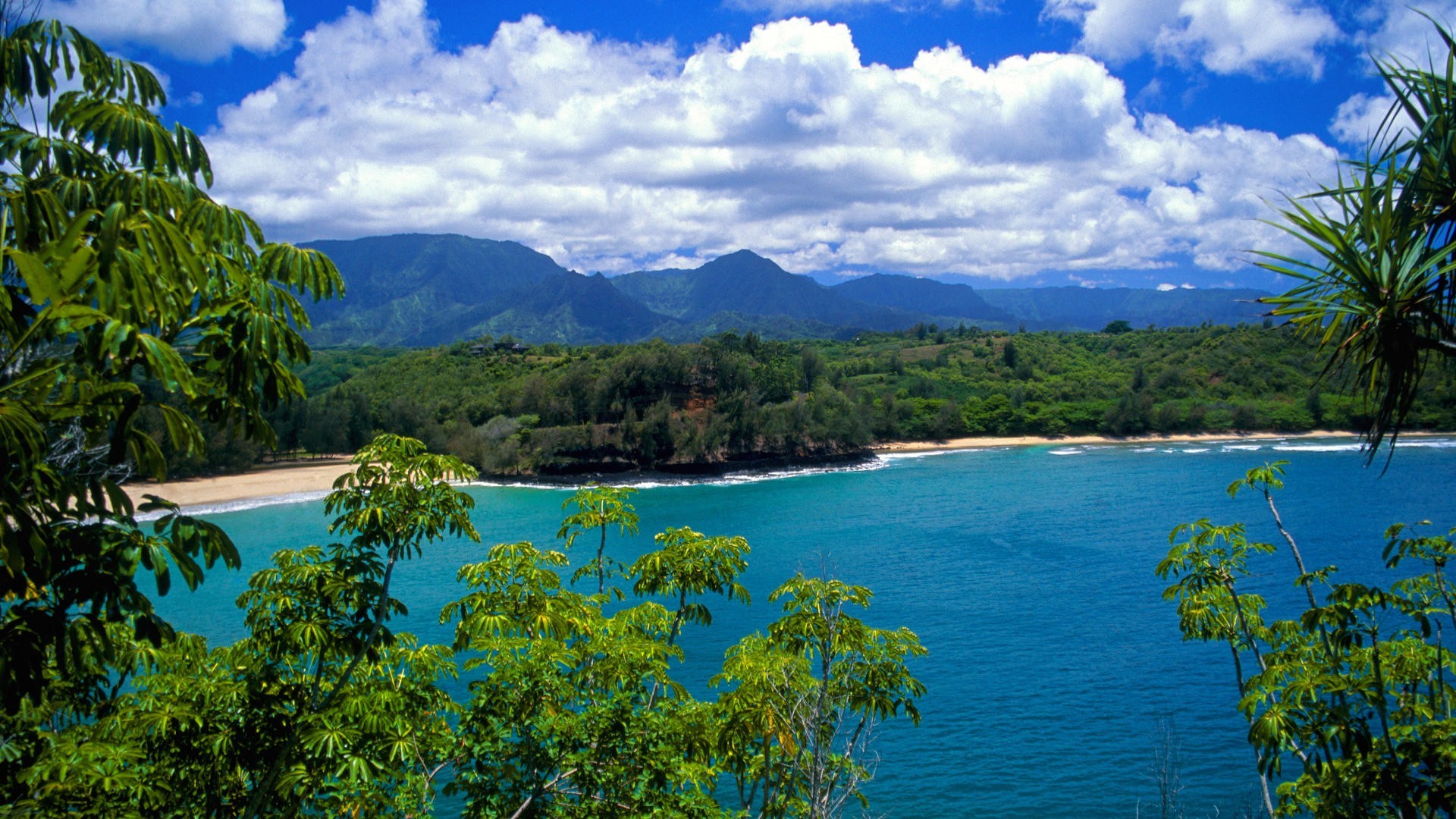 Hawaii, Baia, Foresta tropicale, Montagne, Acqua turchese, 16:9 Full HD, sfondo widescreen