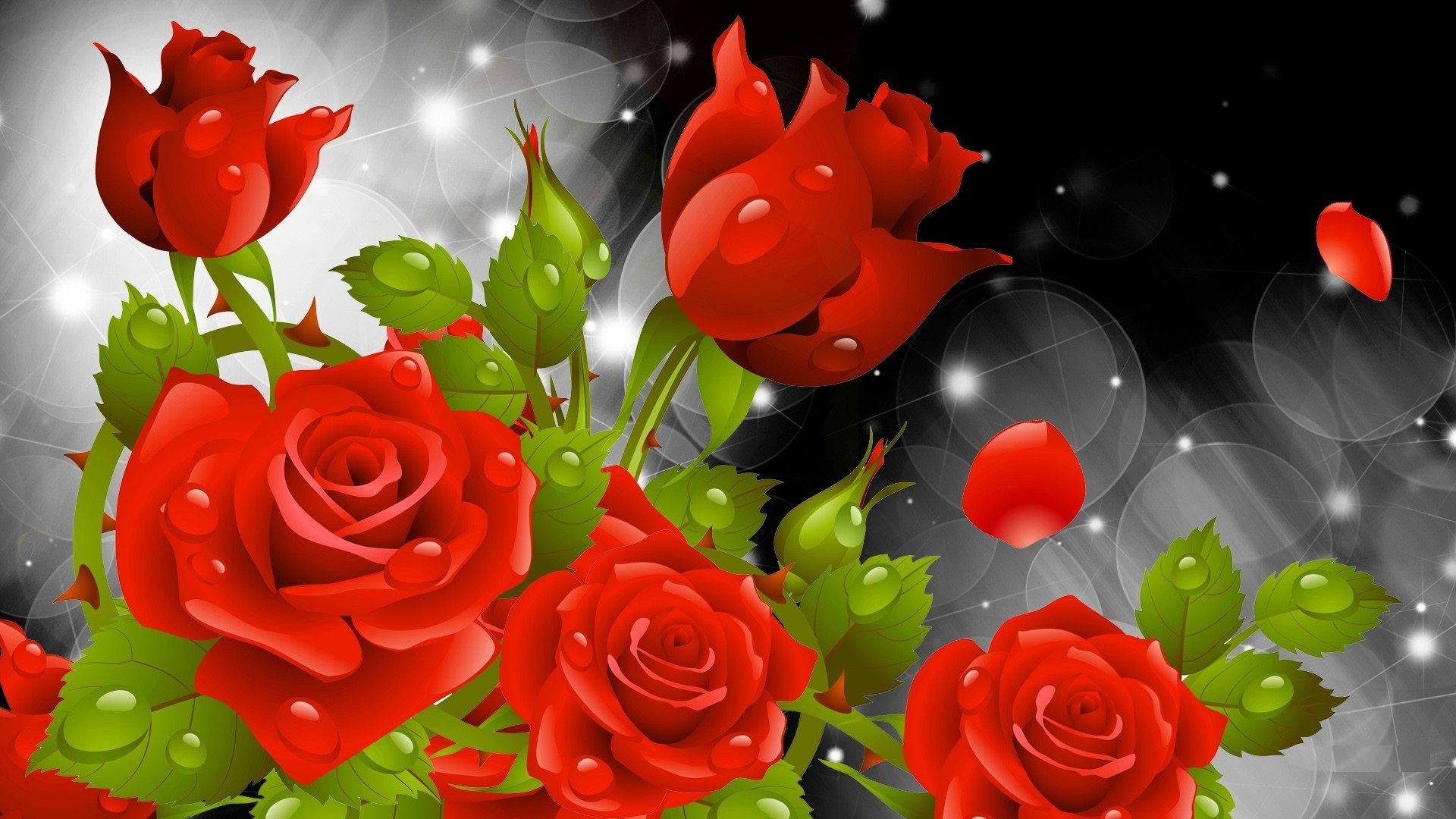 Rose rosse, Petali, Bokeh, Arte digitale, Sfondo nero, 16:9 Full HD, wallpaper widescreen
