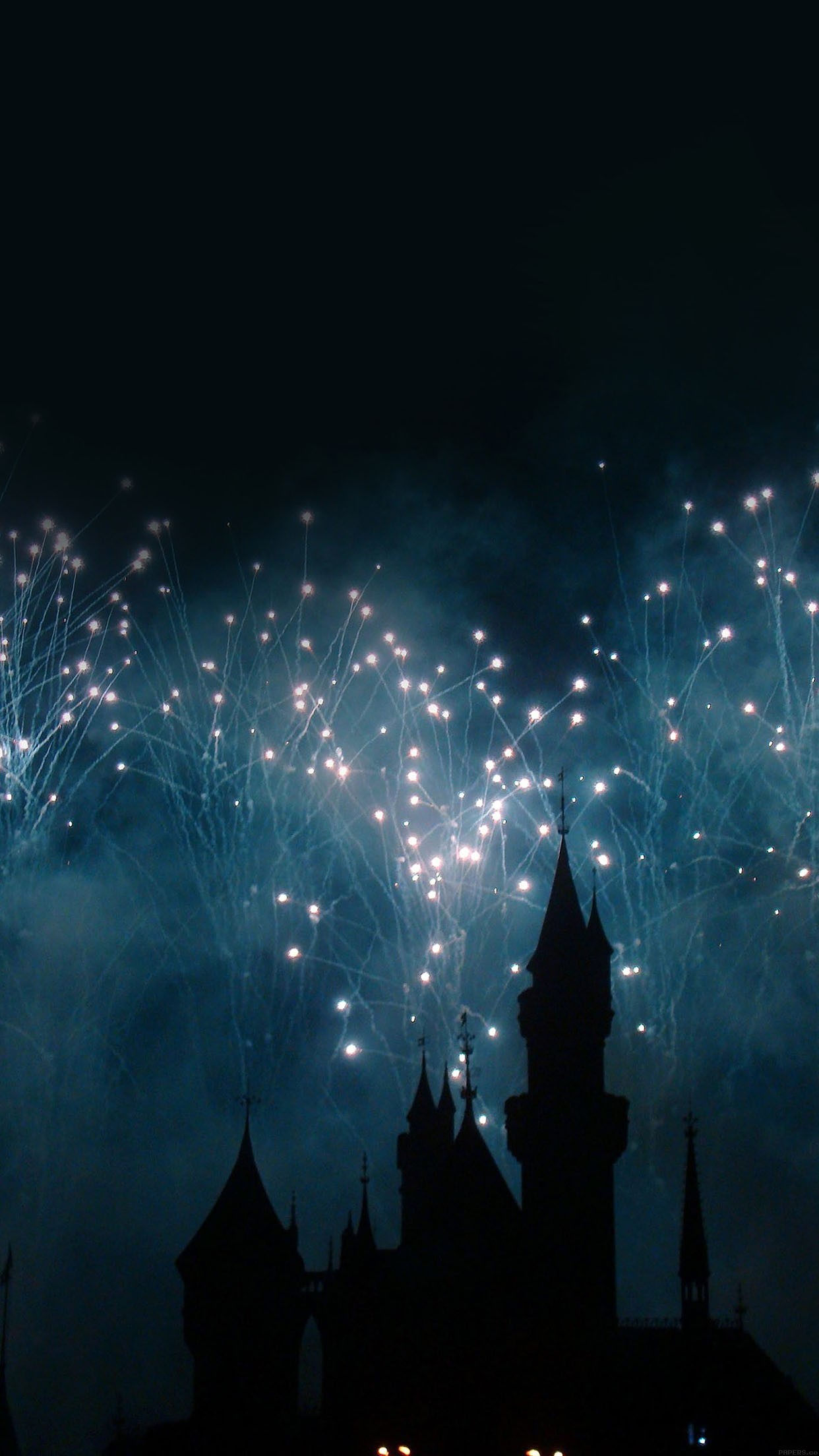 Castello Disney, Fuochi d'artificio, Notte, Silhouette, sfondo schermata di blocco iPhone
