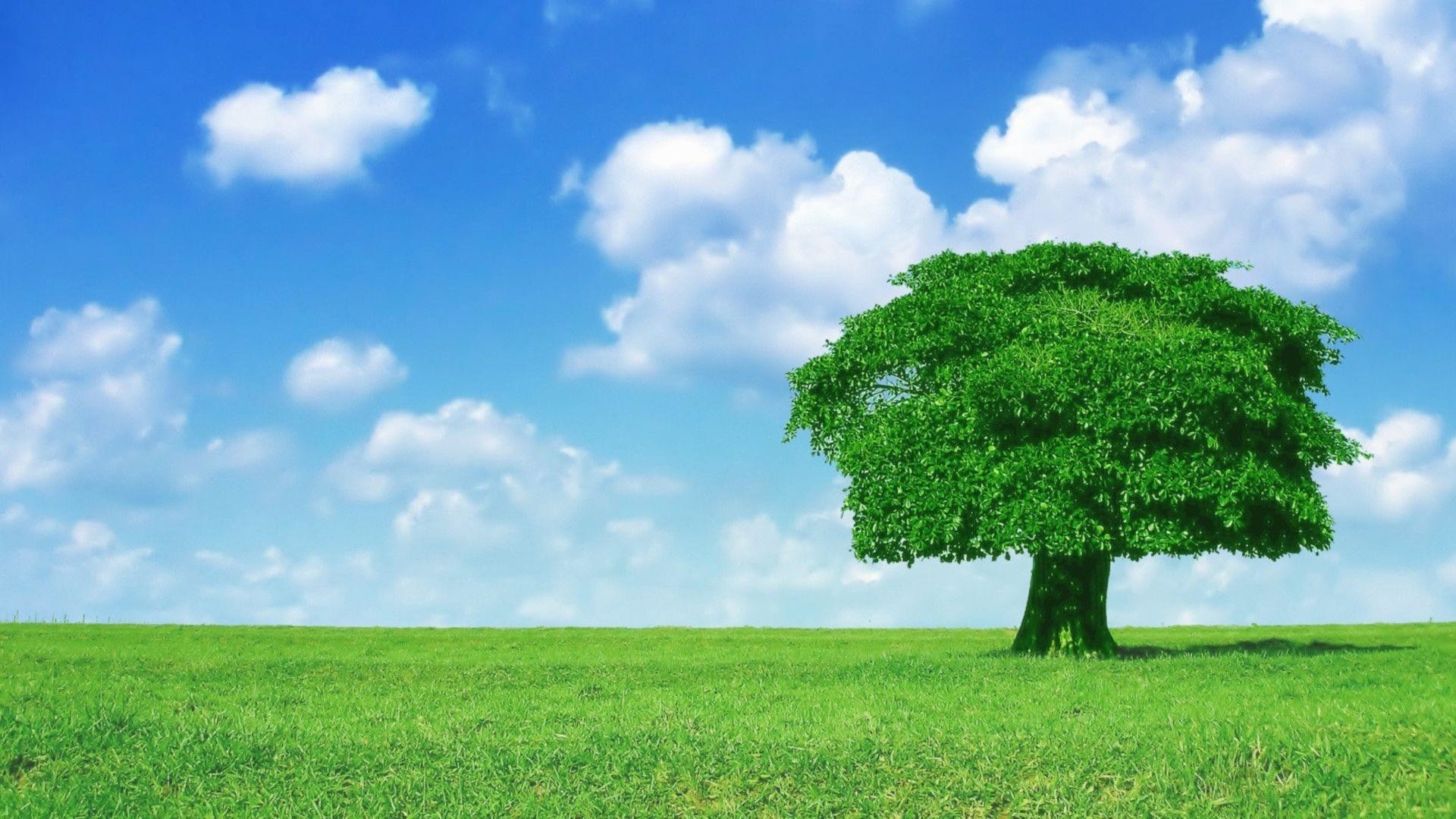 4. windows-desktop-wallpaper-HD4-1-600x338, 1920x1080, sfondo per PC