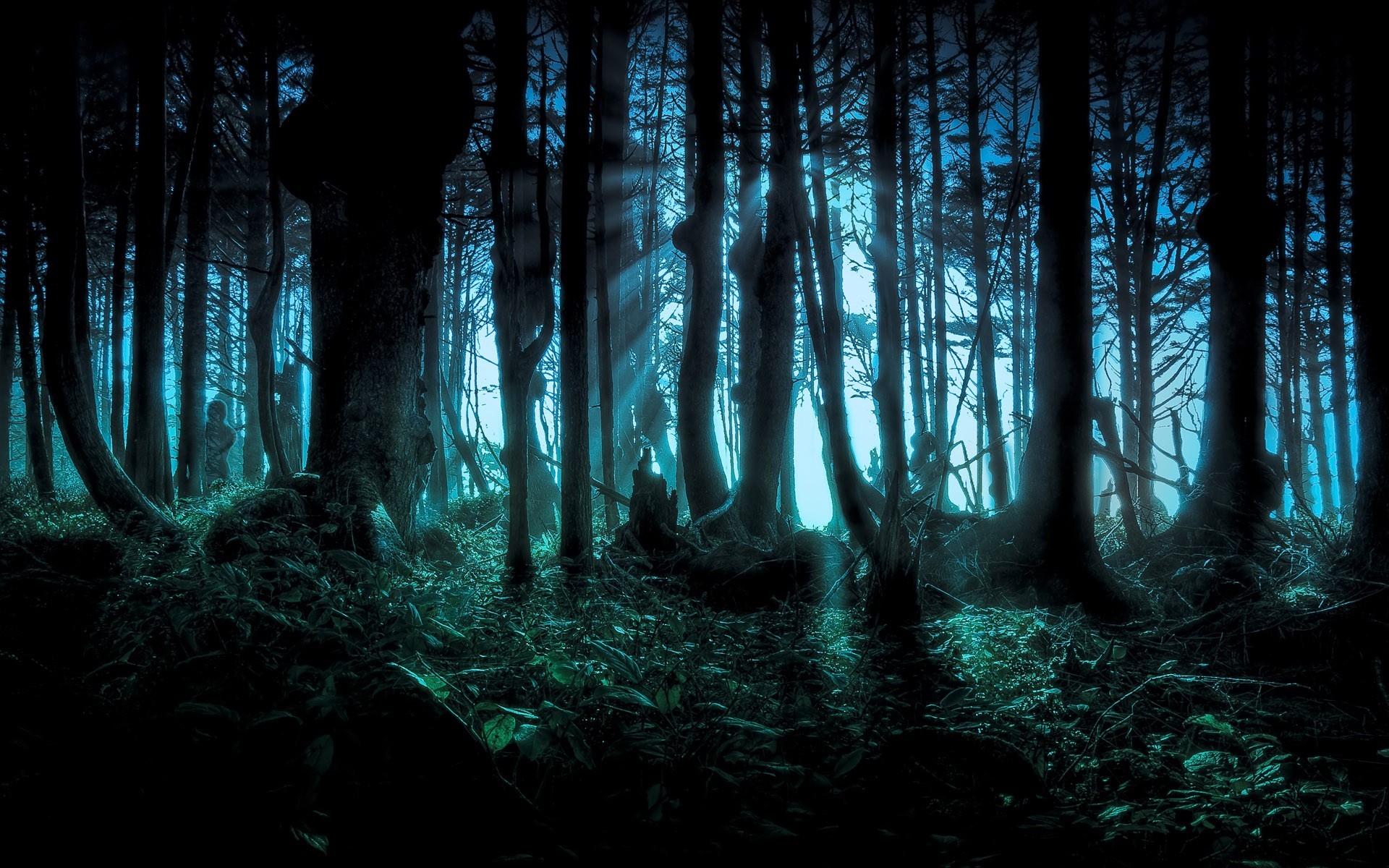 Foresta oscura, Alberi, Nebbia, Verde acqua, Atmosfera cupa, Full HD, sfondo per PC e portatile