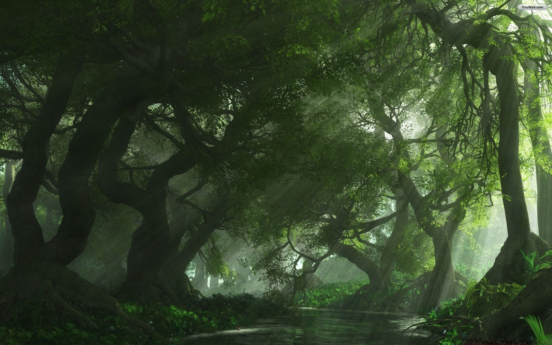 Giungla, Alberi, Nebbia, Luce filtrante, 1920x1200, sfondo per PC