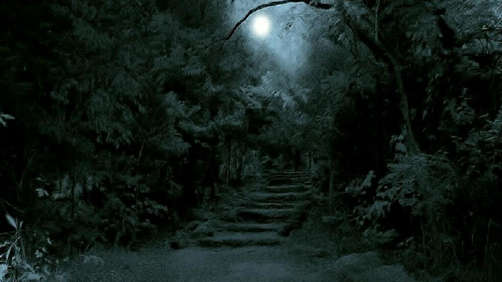 Scalinata nel bosco, Luna, Notte, Toni verdi, Full HD, wallpaper per portatile