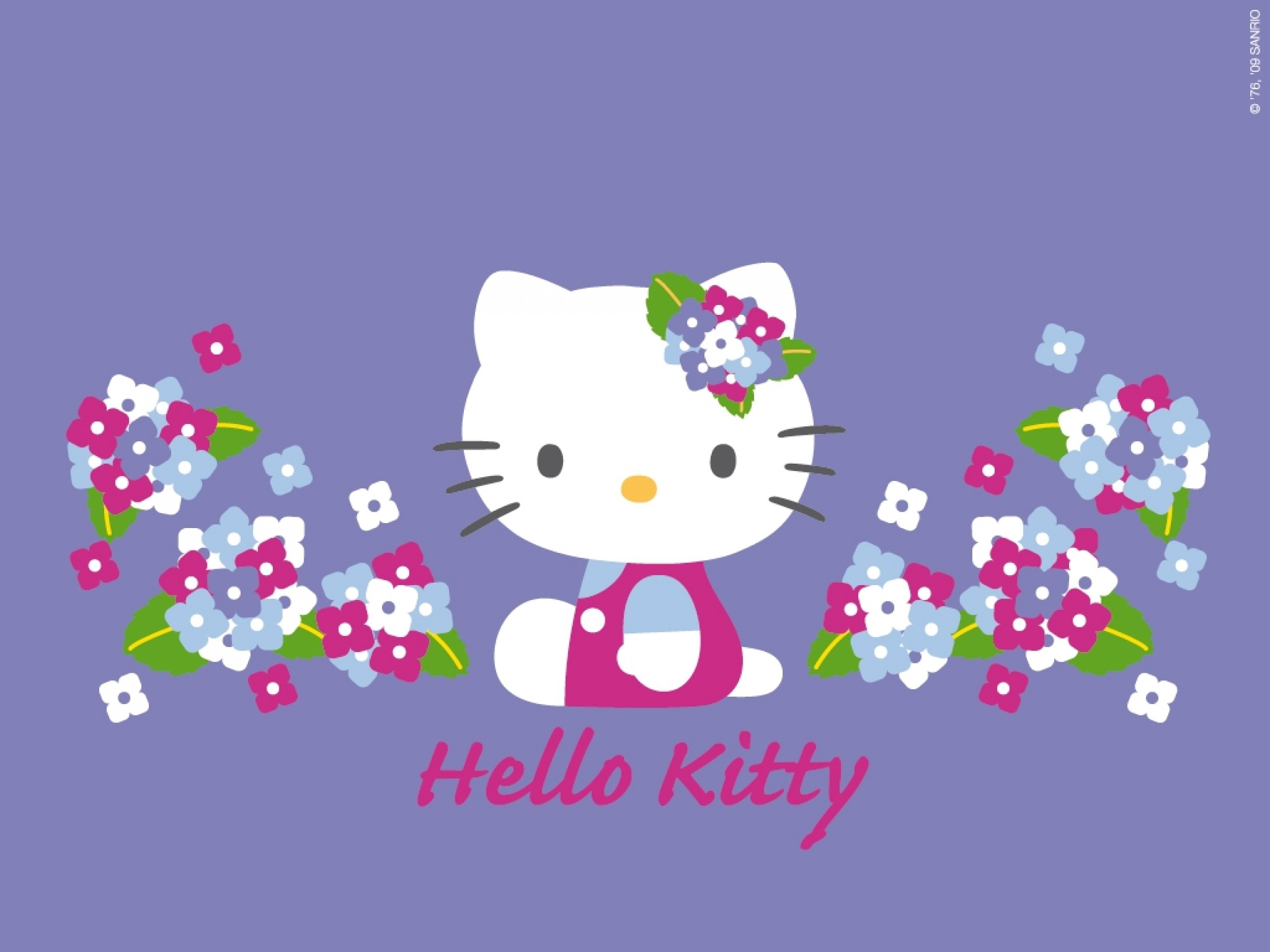 Hello Kitty, Fiori, Viola, Scritta, Sanrio, 2K, sfondo per iPad e tablet