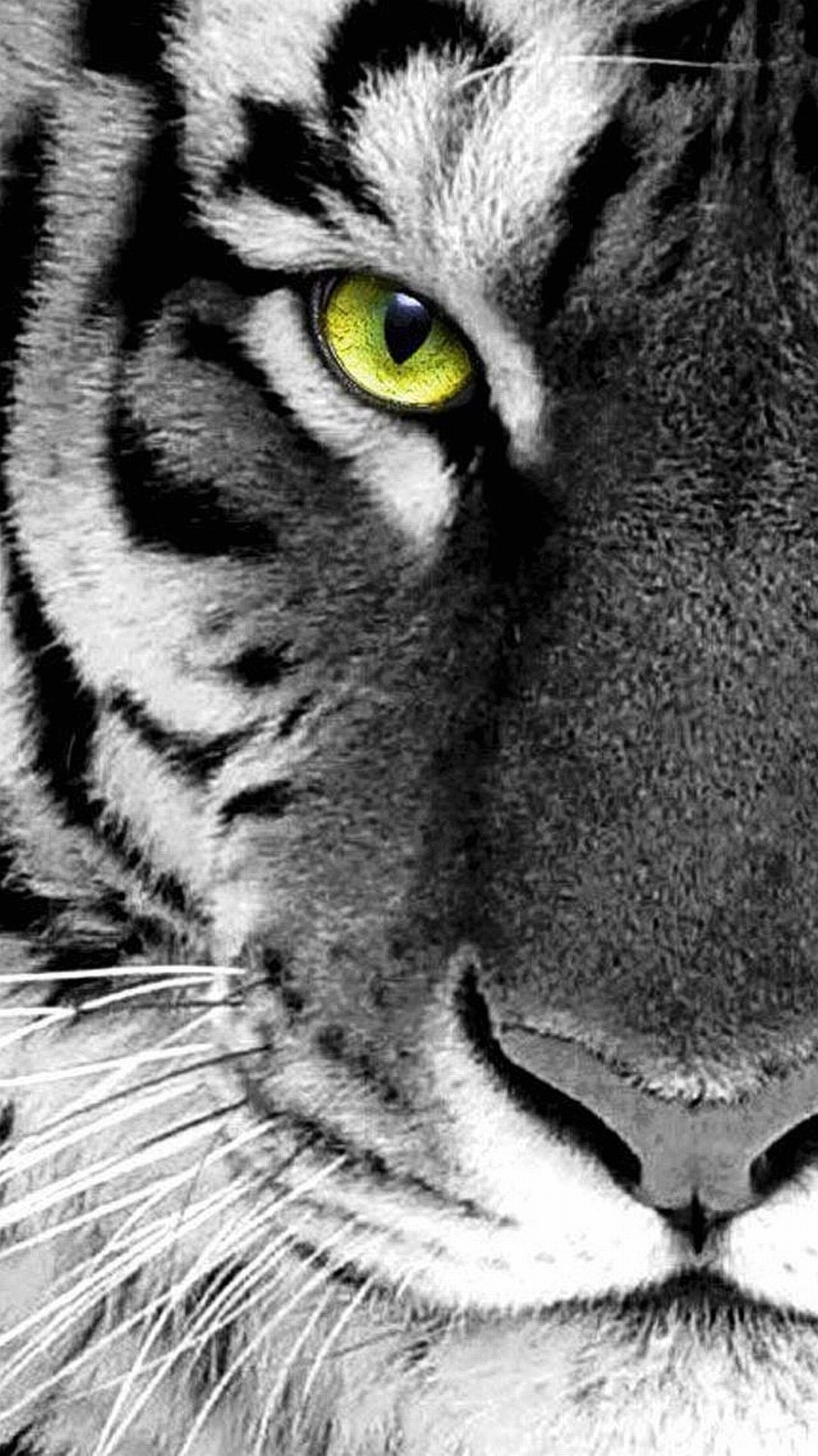 Tigre, Occhio verde, Bianco e nero, wallpaper per iPhone e Android