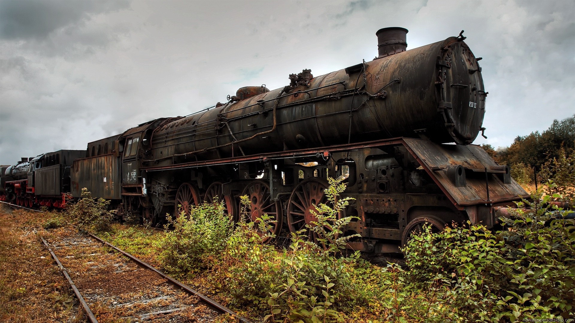 Locomotiva a vapore, Treno abbandonato, Binari, Vegetazione, Full HD, sfondo per portatile