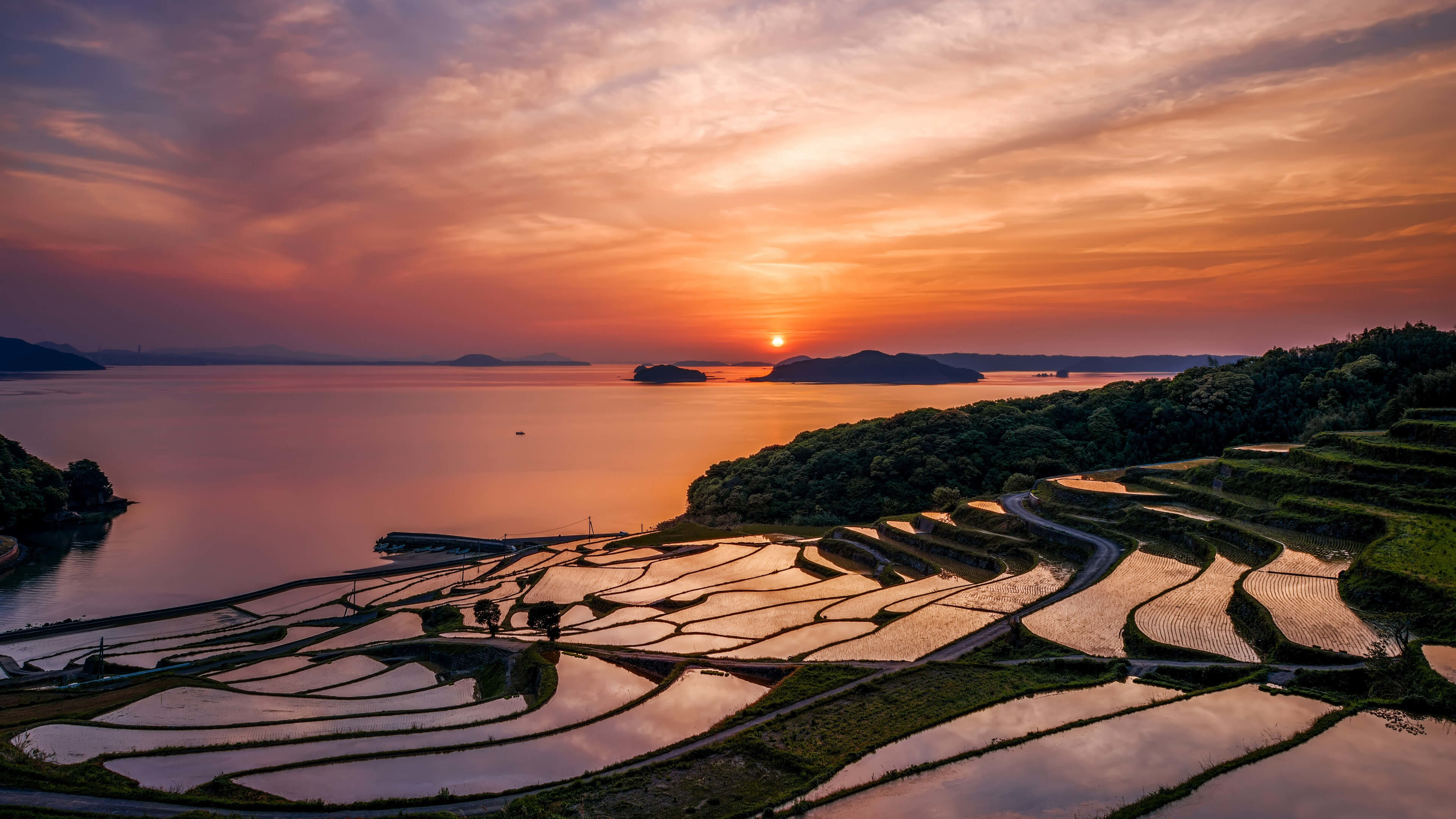 Risaie terrazzate, Terrazze di Doya, Giappone, Tramonto, Mare, 4K, sfondo per portatile