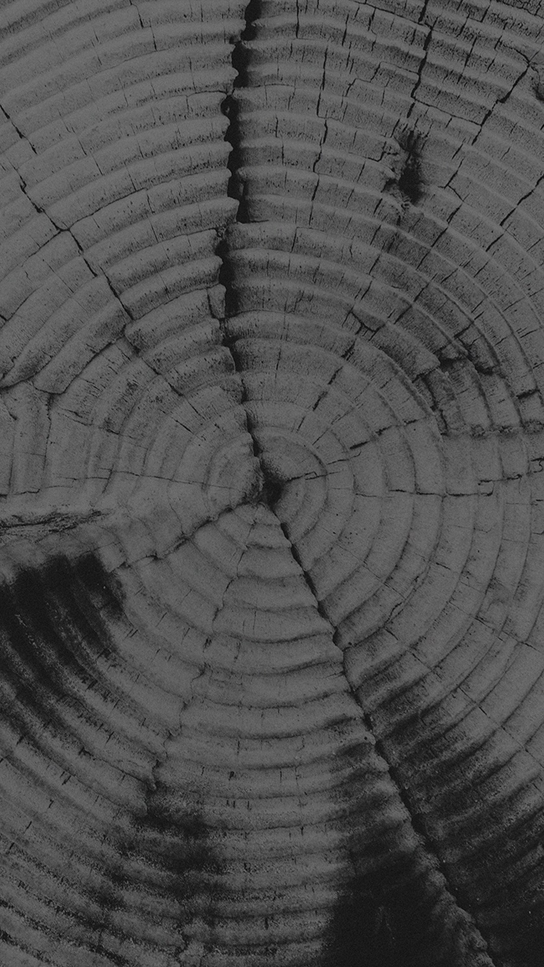Anelli del legno, Tronco, Bianco e nero, 1080x1920, schermata di blocco iPhone