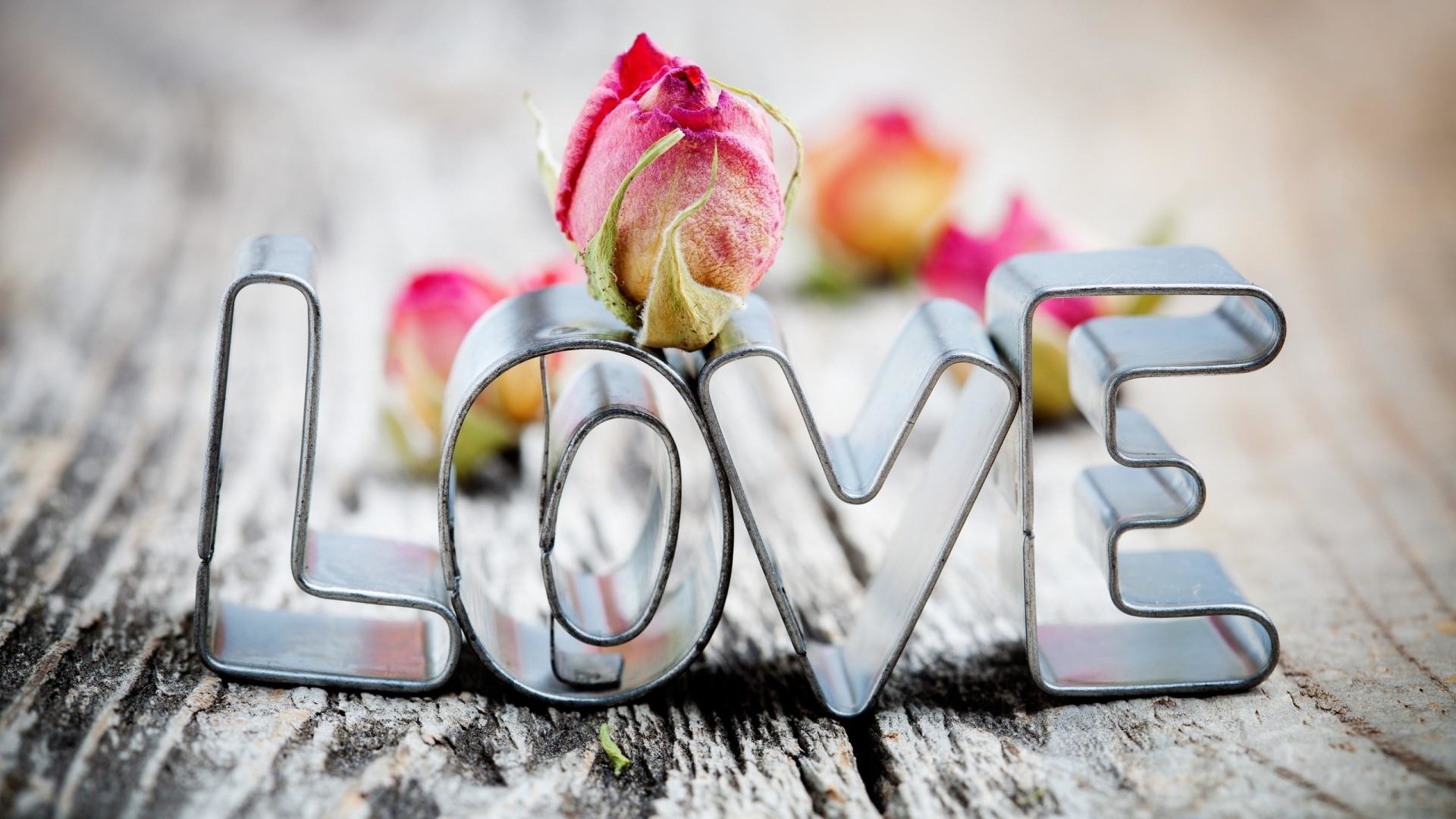 Scritta Love, Formine metalliche, Boccioli di rosa, Legno, Full HD 1080p, sfondo desktop