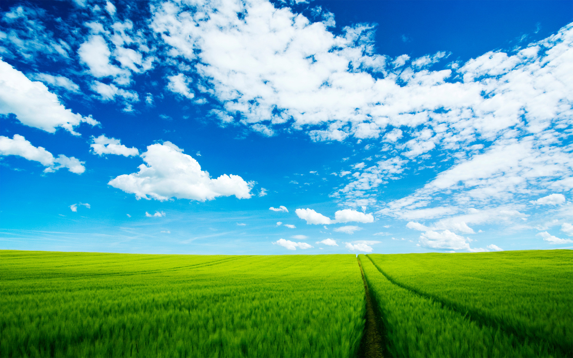 Campo verde, Nuvole, Cielo blu, Orizzonte, 1920x1200, immagine di sfondo