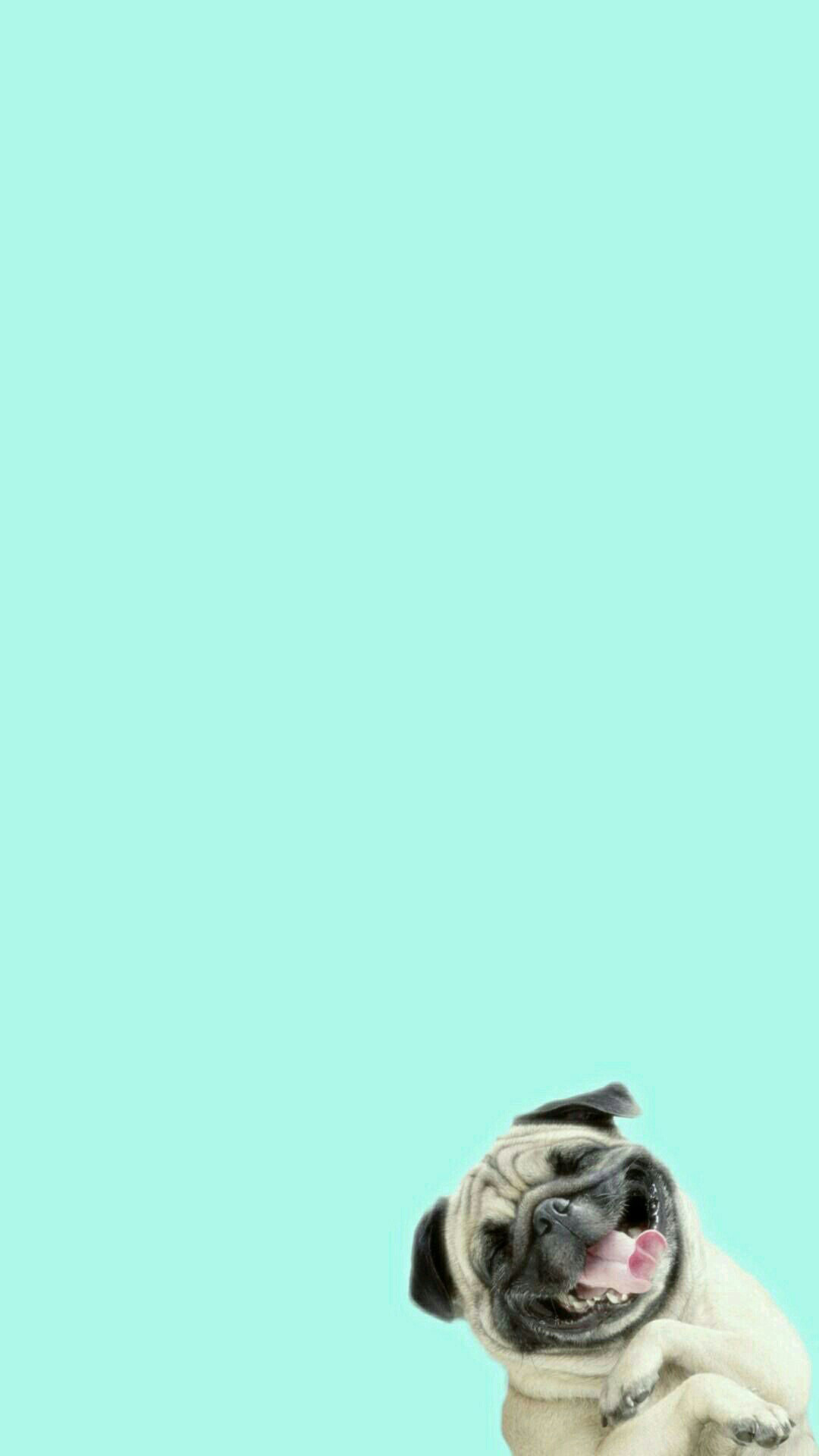 Funny Pug Dog Laughing Android Wallpaper, Full HD, sfondo verticale per cellulare