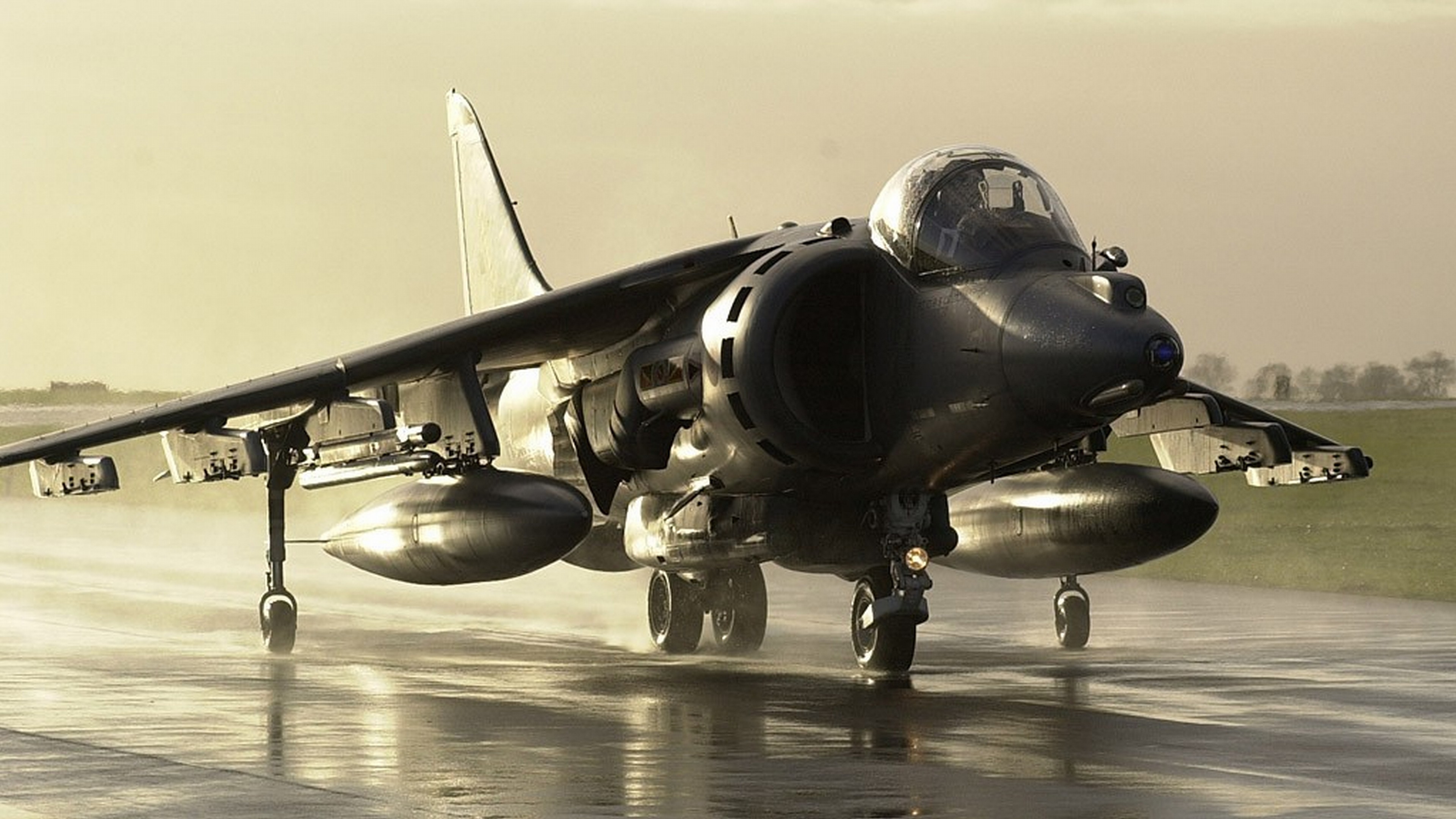 Harrier, Caccia, Pista bagnata, Seppia, 4K, sfondo per PC e portatile