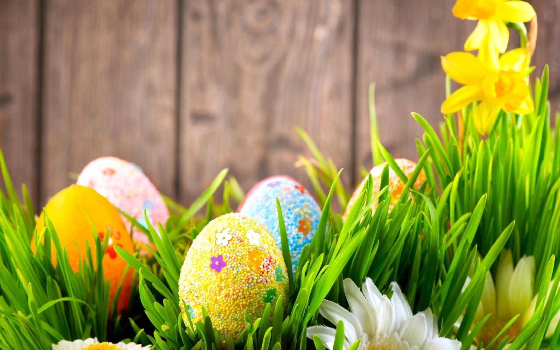 Uova di Pasqua, Narcisi, Erba, Legno, Full HD, sfondo per portatile