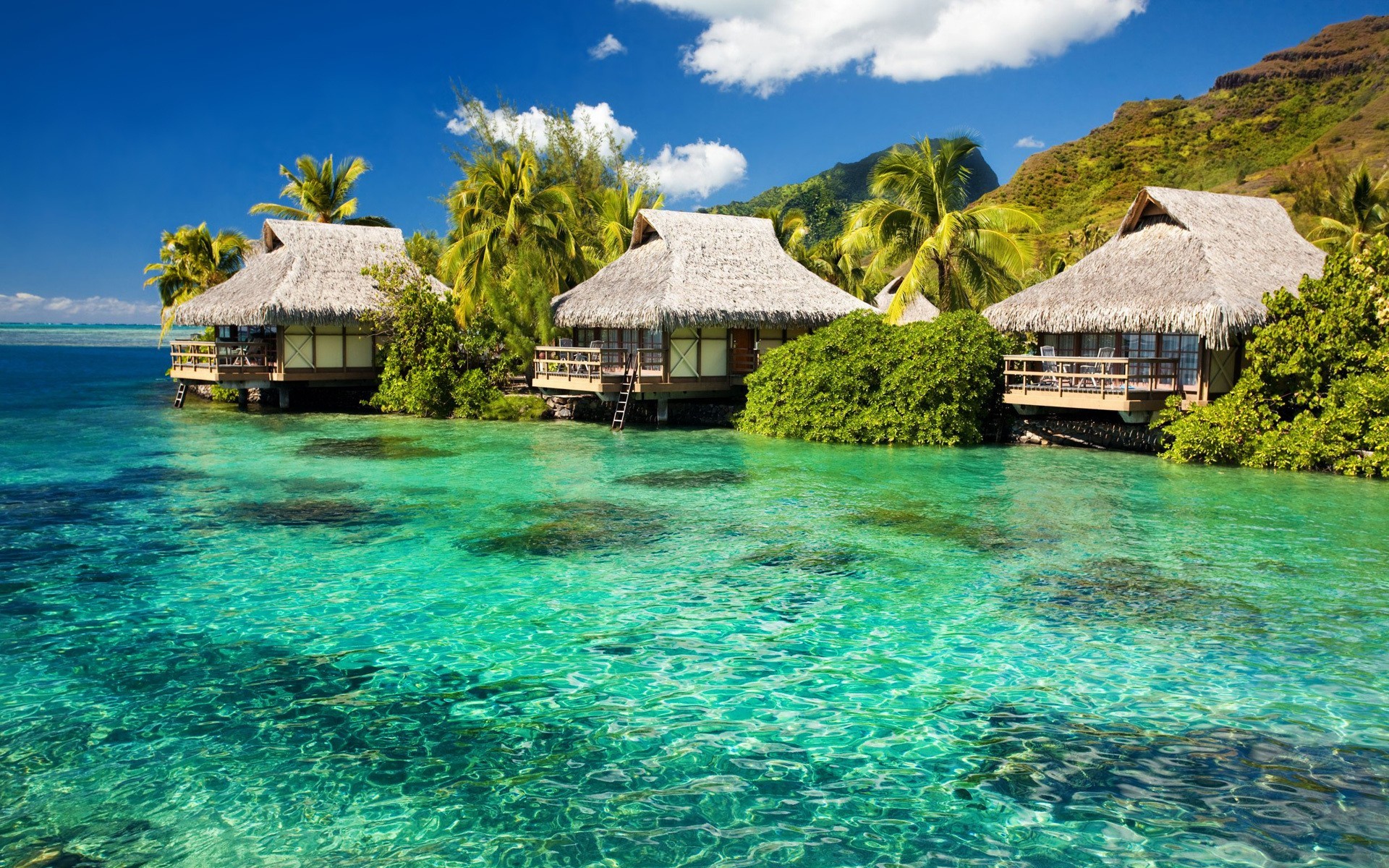 Bungalow sull'acqua, Laguna, Palme, Acqua cristallina, Tropici, Full HD, wallpaper desktop
