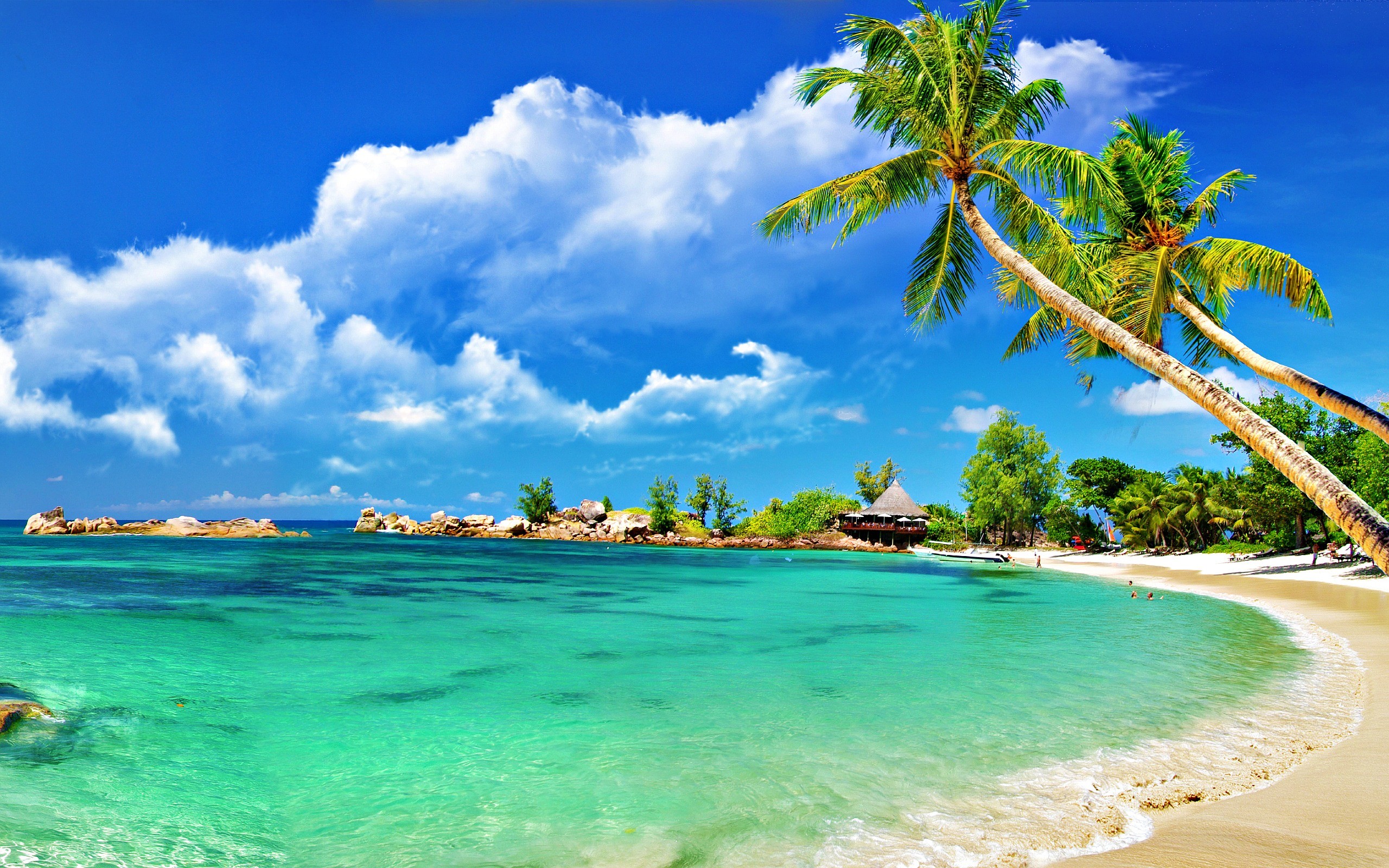 Baia, Palme, Acqua smeraldo, Bungalow, 2K, sfondo Windows 11