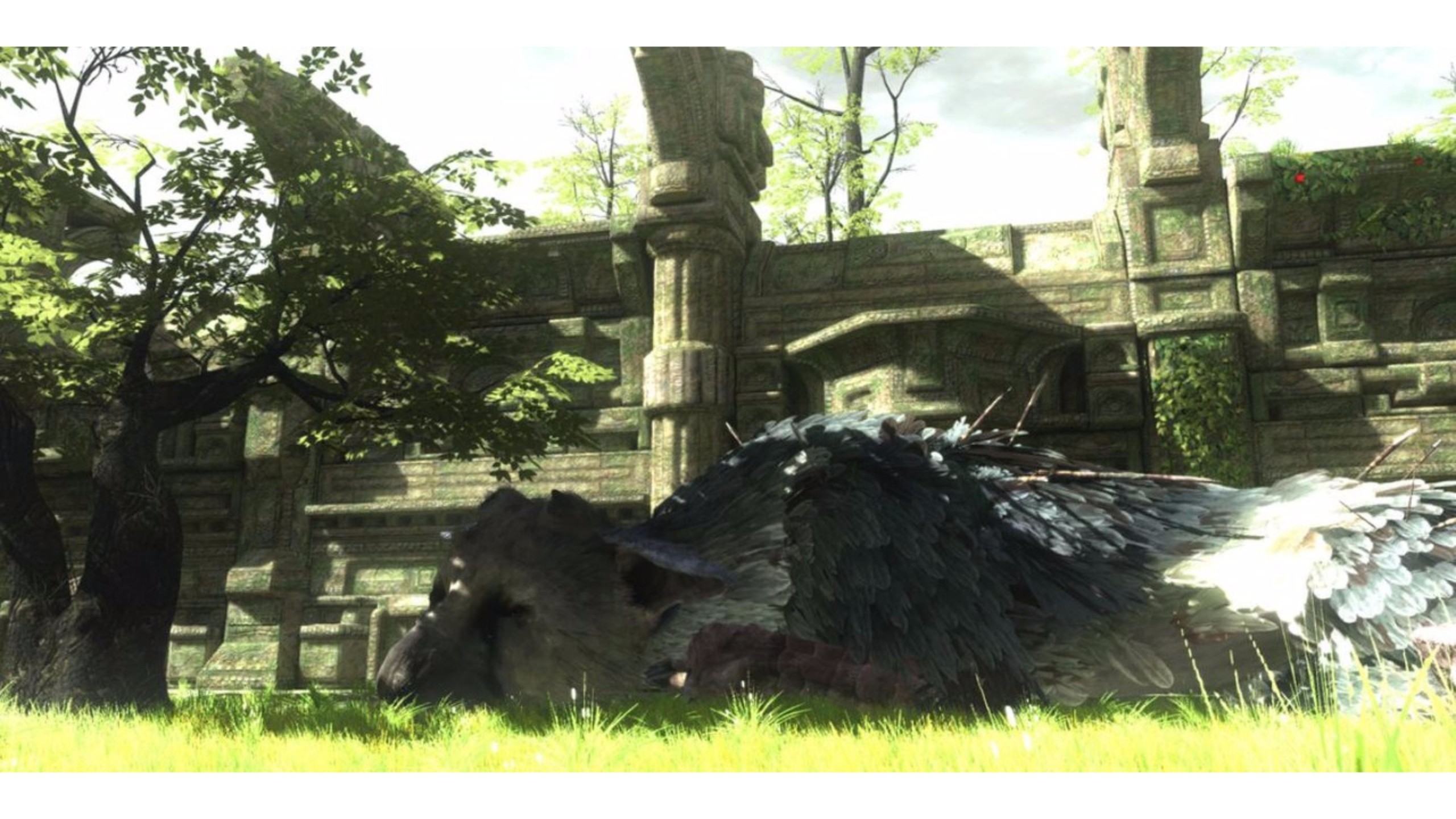 Trico, The Last Guardian, Rovine, Prato, 2K, wallpaper desktop