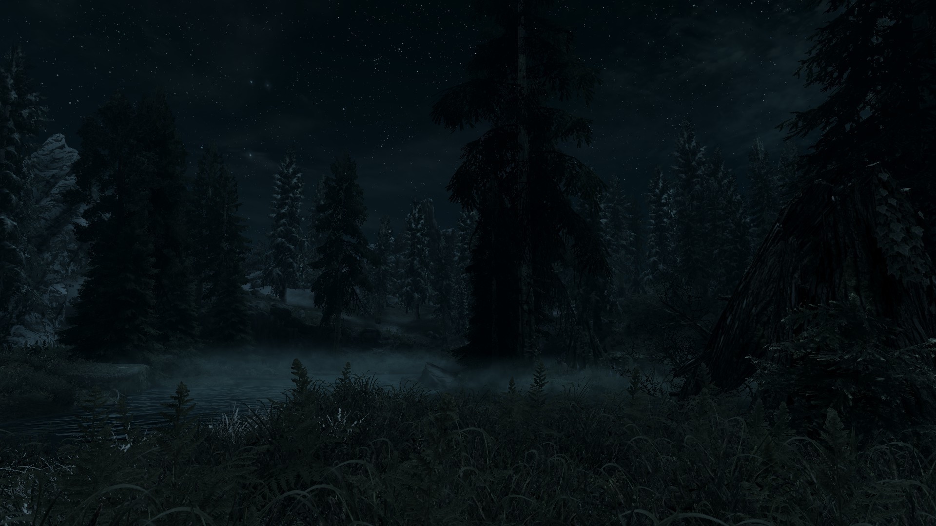 Foresta di notte, Abeti, Toni scuri, 1920x1080, sfondo per PC