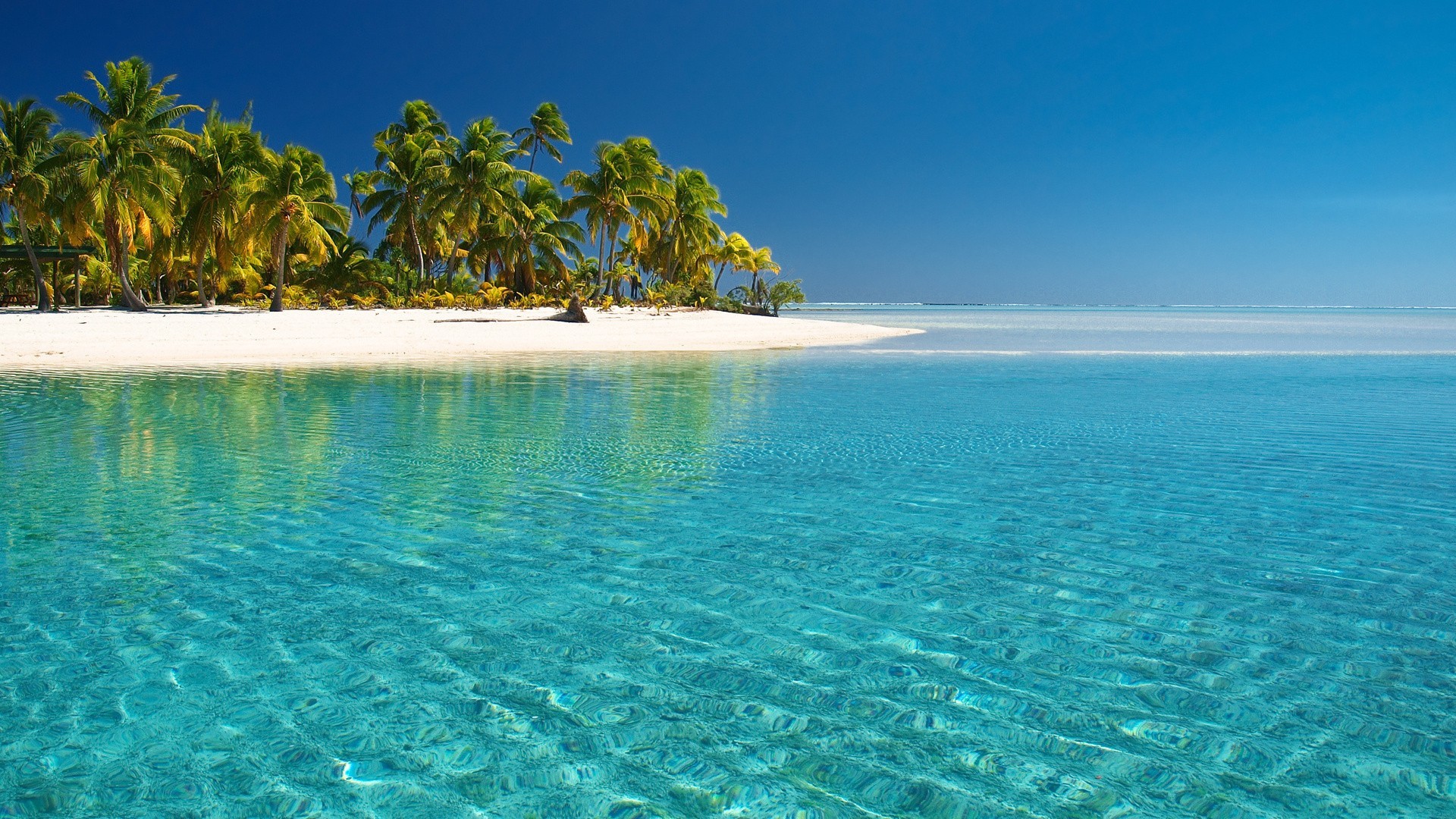 Spiaggia tropicale, Palme, Mare turchese, 1920x1080, wallpaper desktop