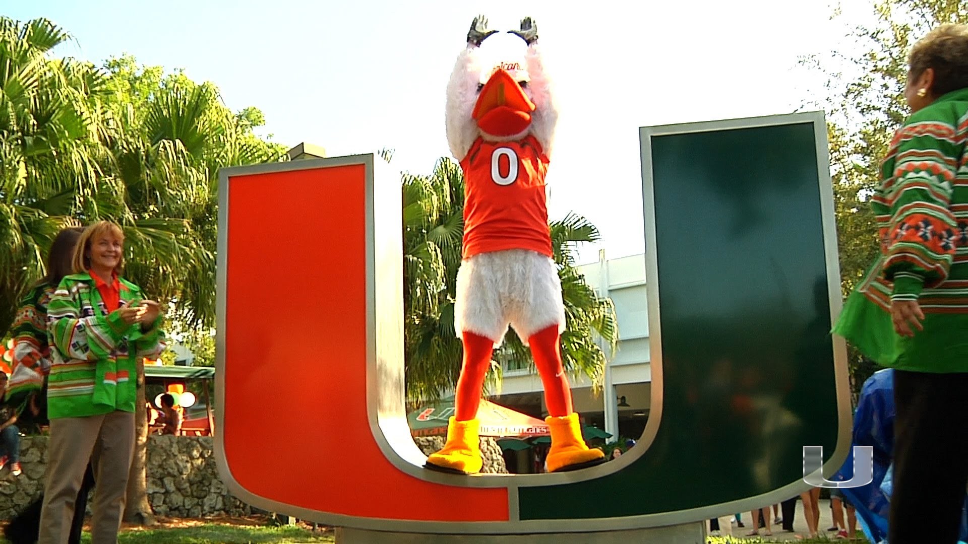 Sebastian the Ibis, Miami Hurricanes, University of Miami, Mascotte, Logo U, sfondo Full HD