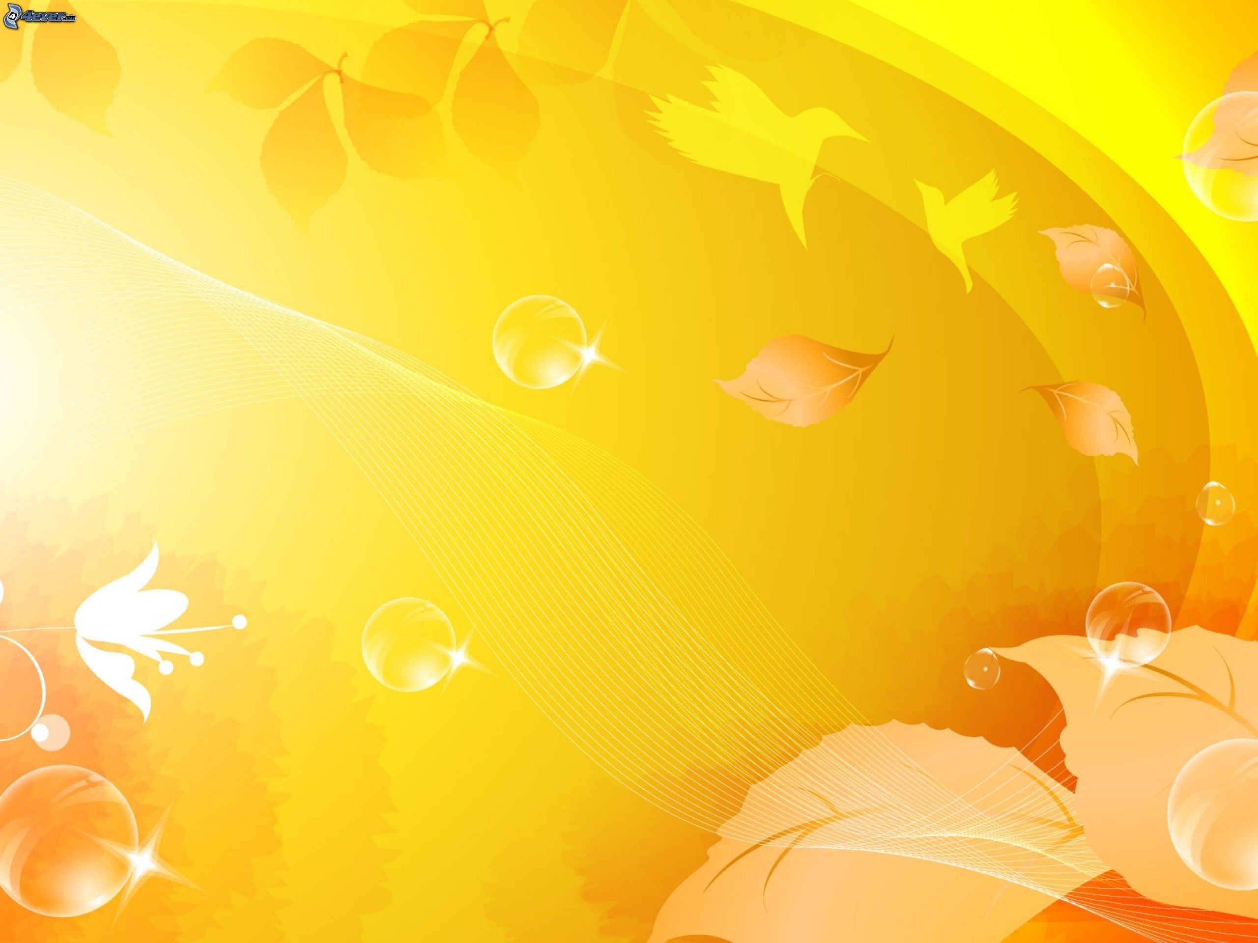 Foglie, Bolle, Arancione, Illustrazione, 2K, sfondo per iPad e tablet