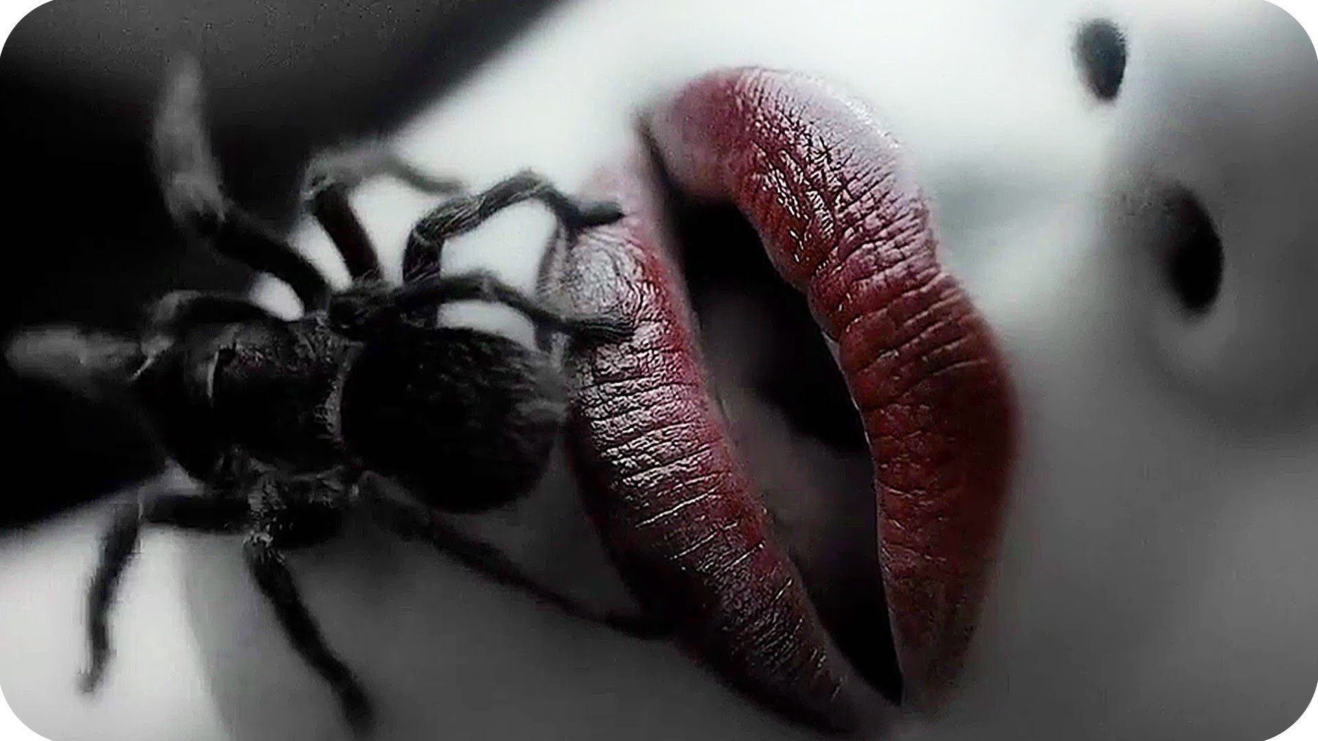 American Horror Story: Murder House, Ragno, Tarantola, Labbra, Primo piano, sfondo Full HD per PC