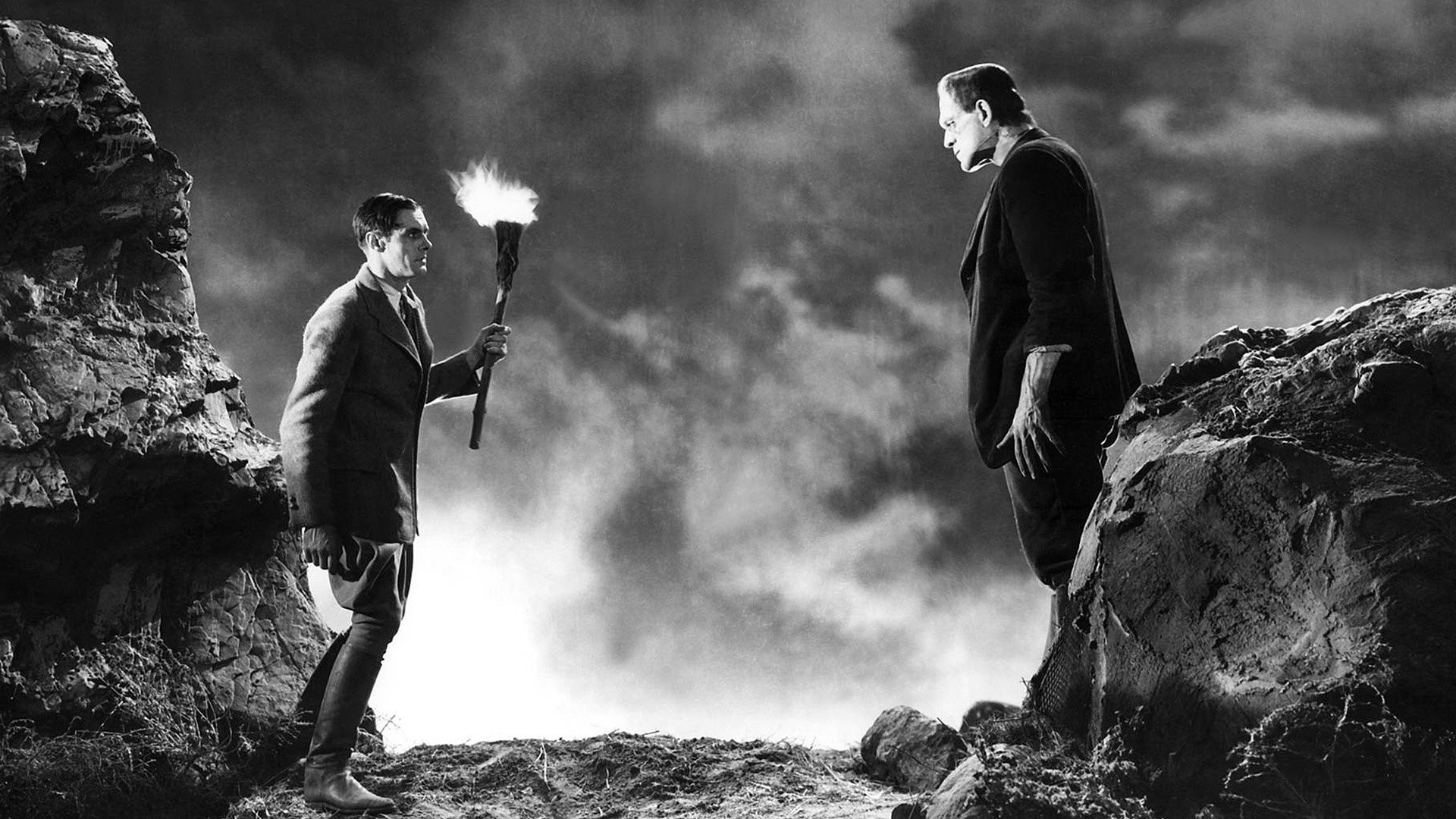 Frankenstein, Torcia, Bianco e nero, Horror classico, Full HD, sfondo desktop