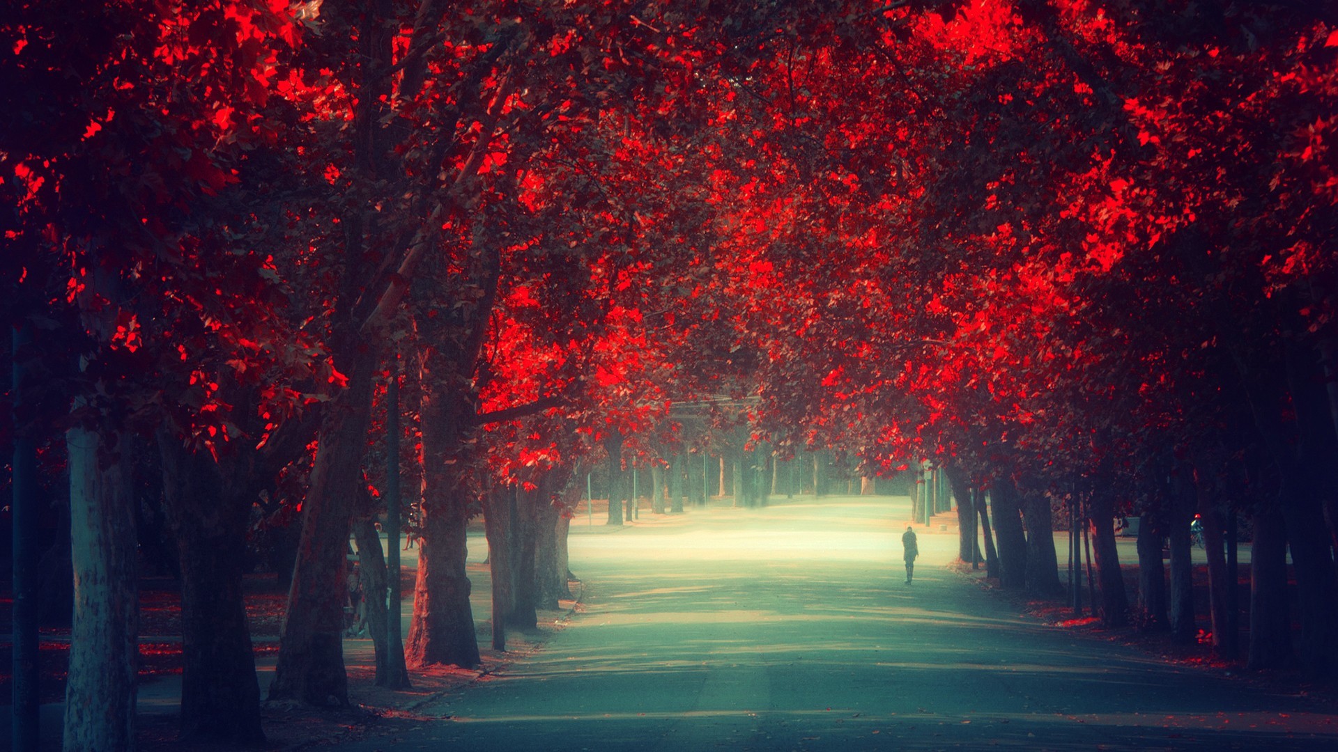 Viale alberato, Foglie rosse, Autunno, Parco, 16:9 Full HD, sfondo widescreen