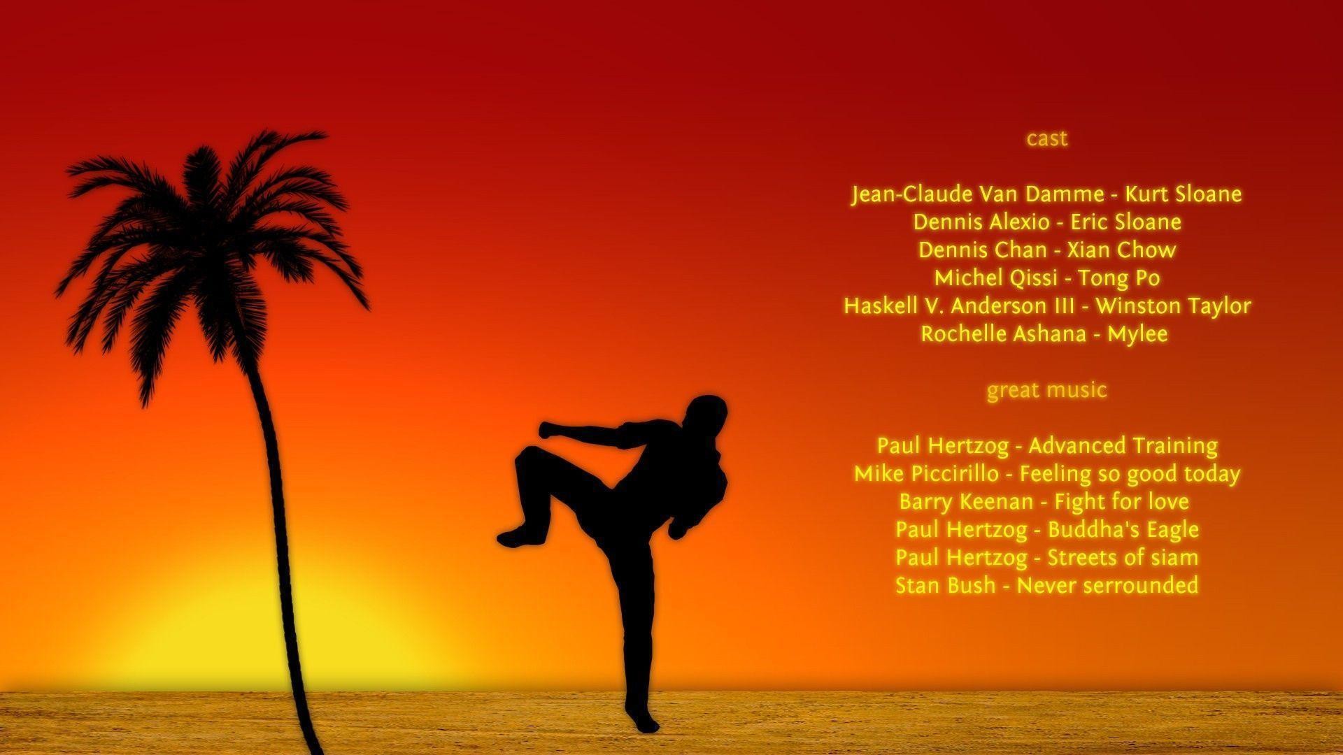 Kickboxer, Jean-Claude Van Damme, Silhouette, Palma, Tramonto, Full HD, sfondo per portatile